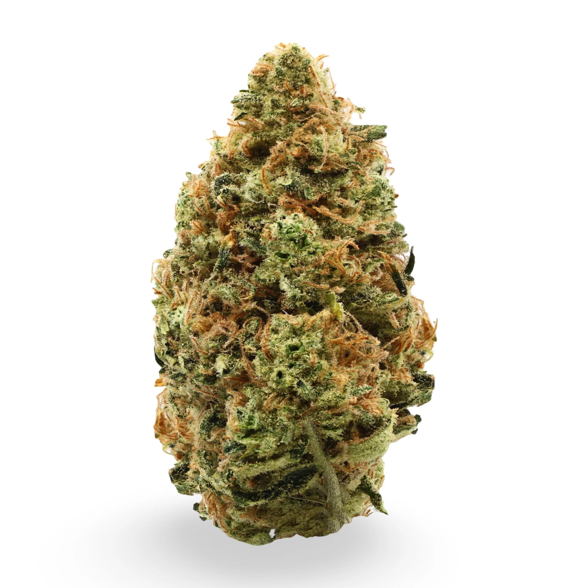 Apple Fritter THCa Flower - Image 2