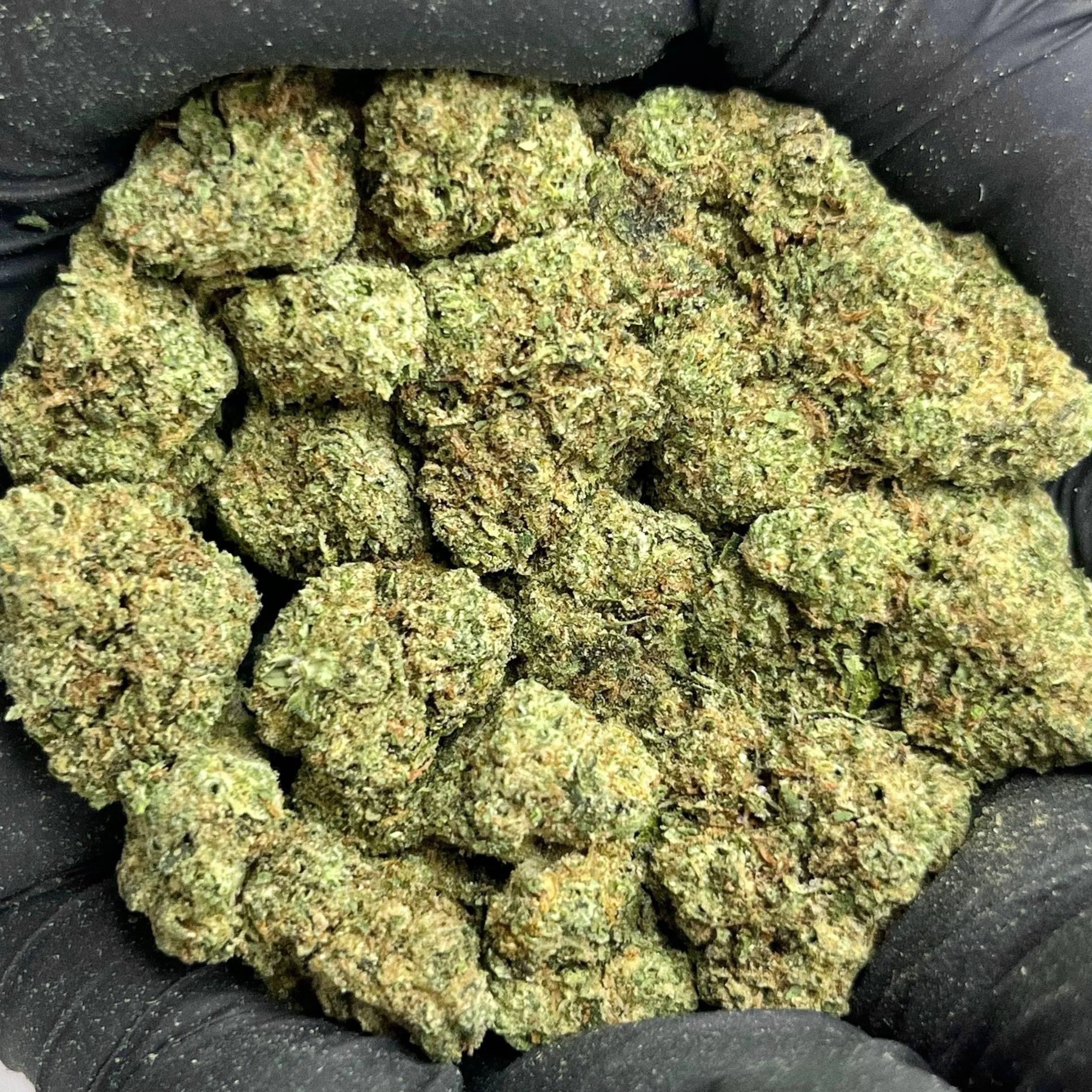 THCa Flower | Blackscotti - Image 3