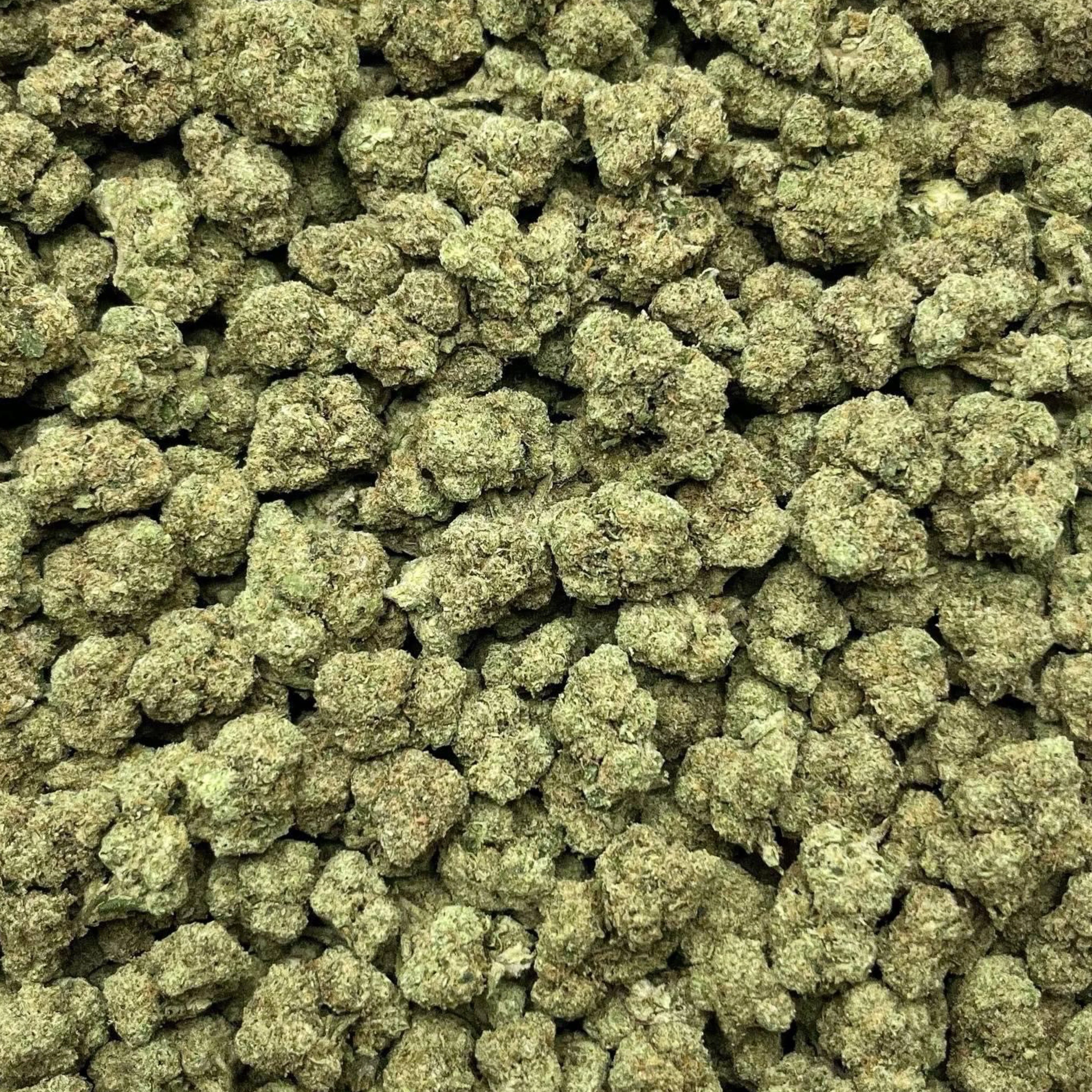 THCa Flower | Blackscotti - Image 4