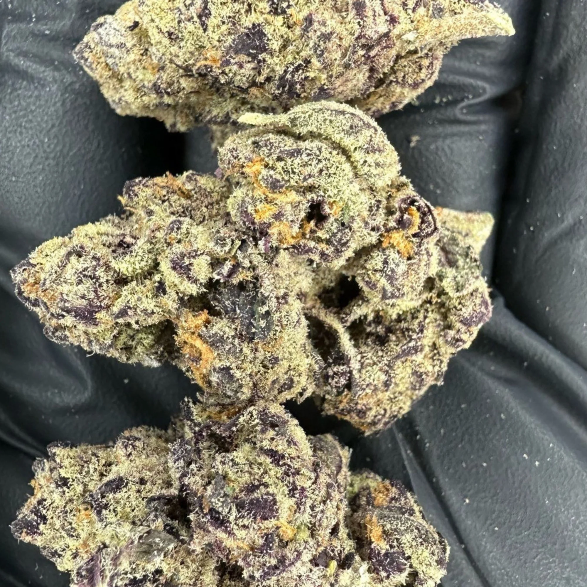 THCa Flower | Blue Dream Exotic - Image 2