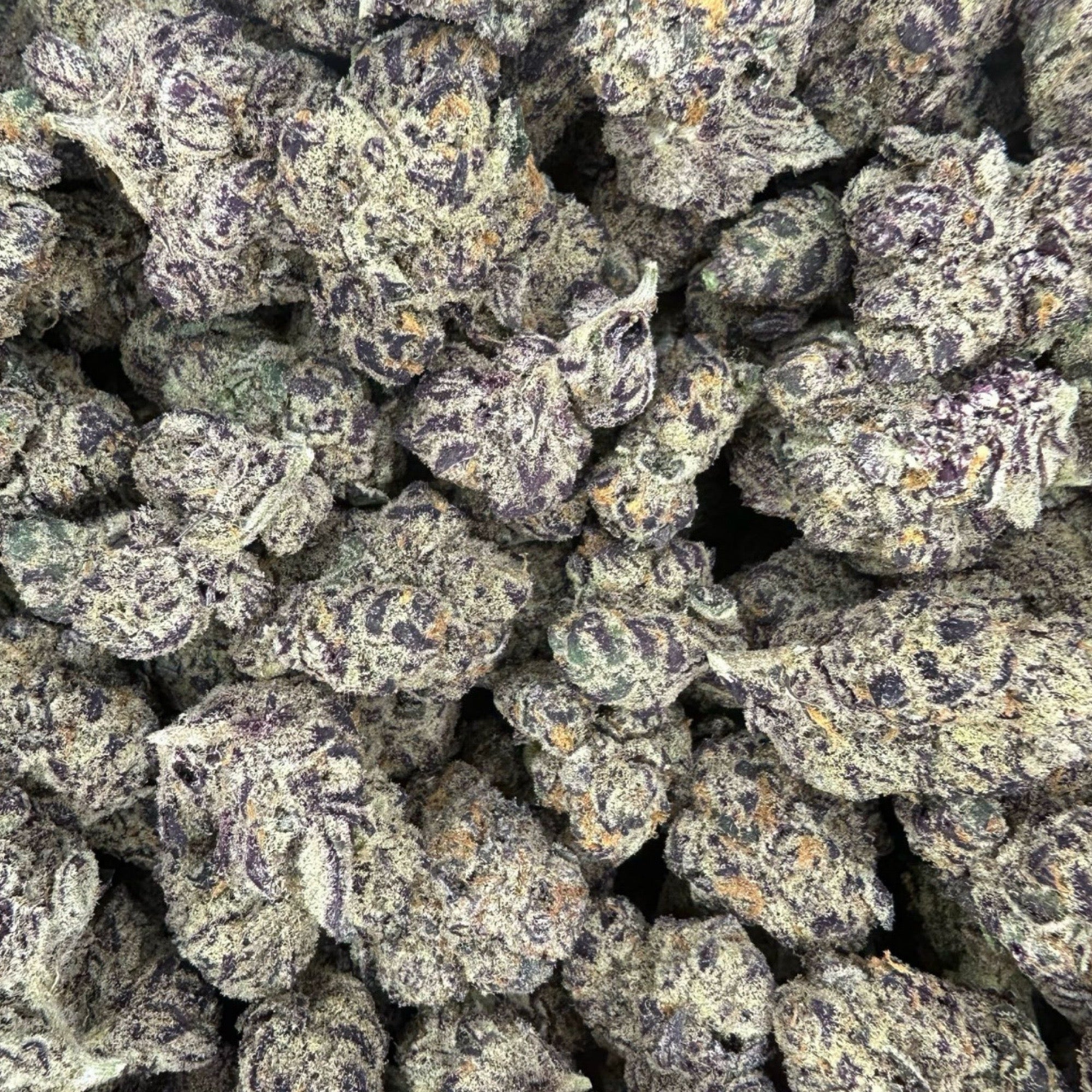THCa Flower | Blue Dream Exotic - Image 4