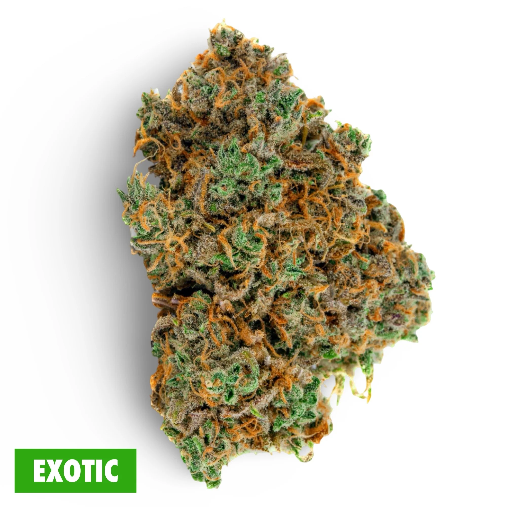 THCa Pre-Roll | Blue Dream Exotic - Image 5