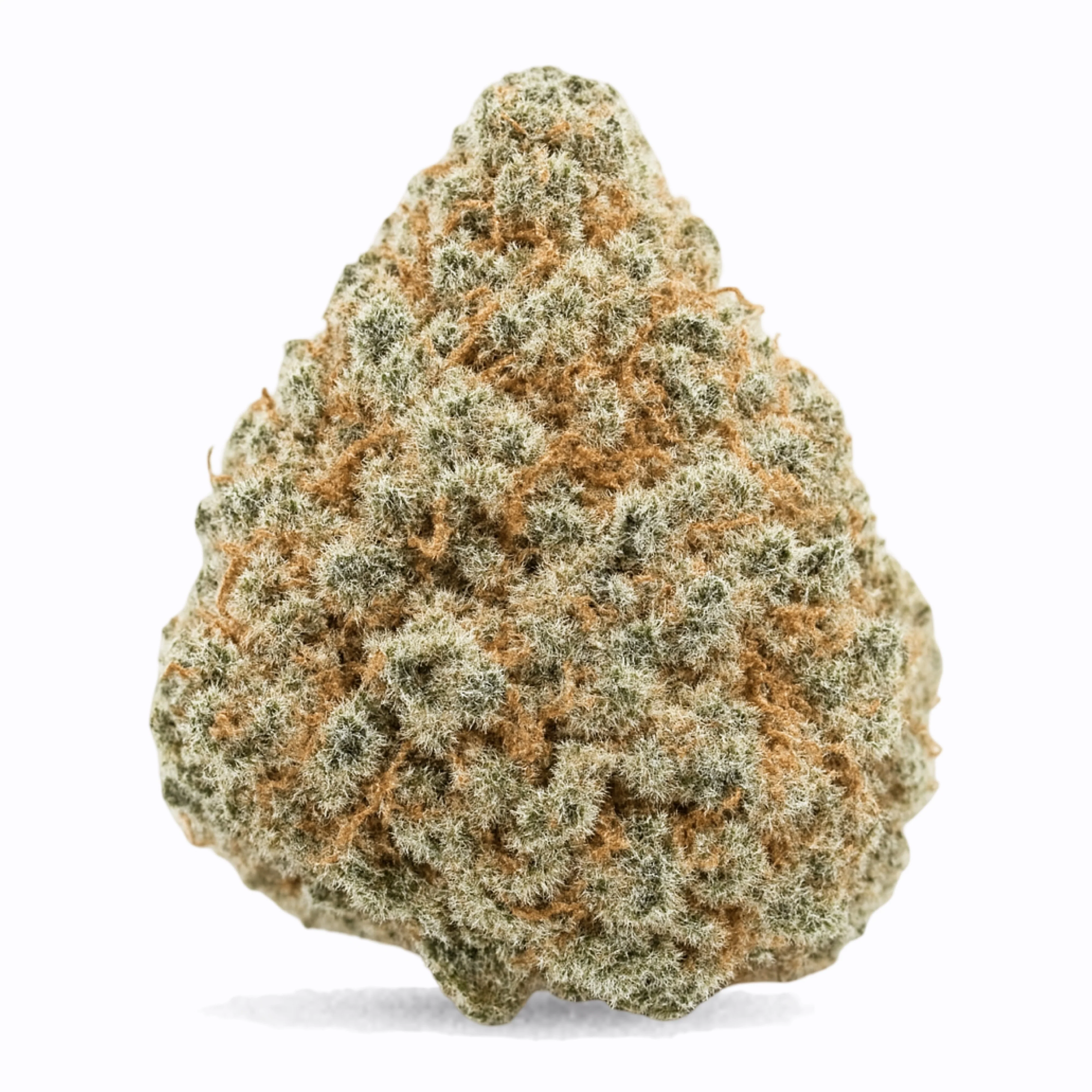 THCa Flower | Bubblegum Gelato Exotic