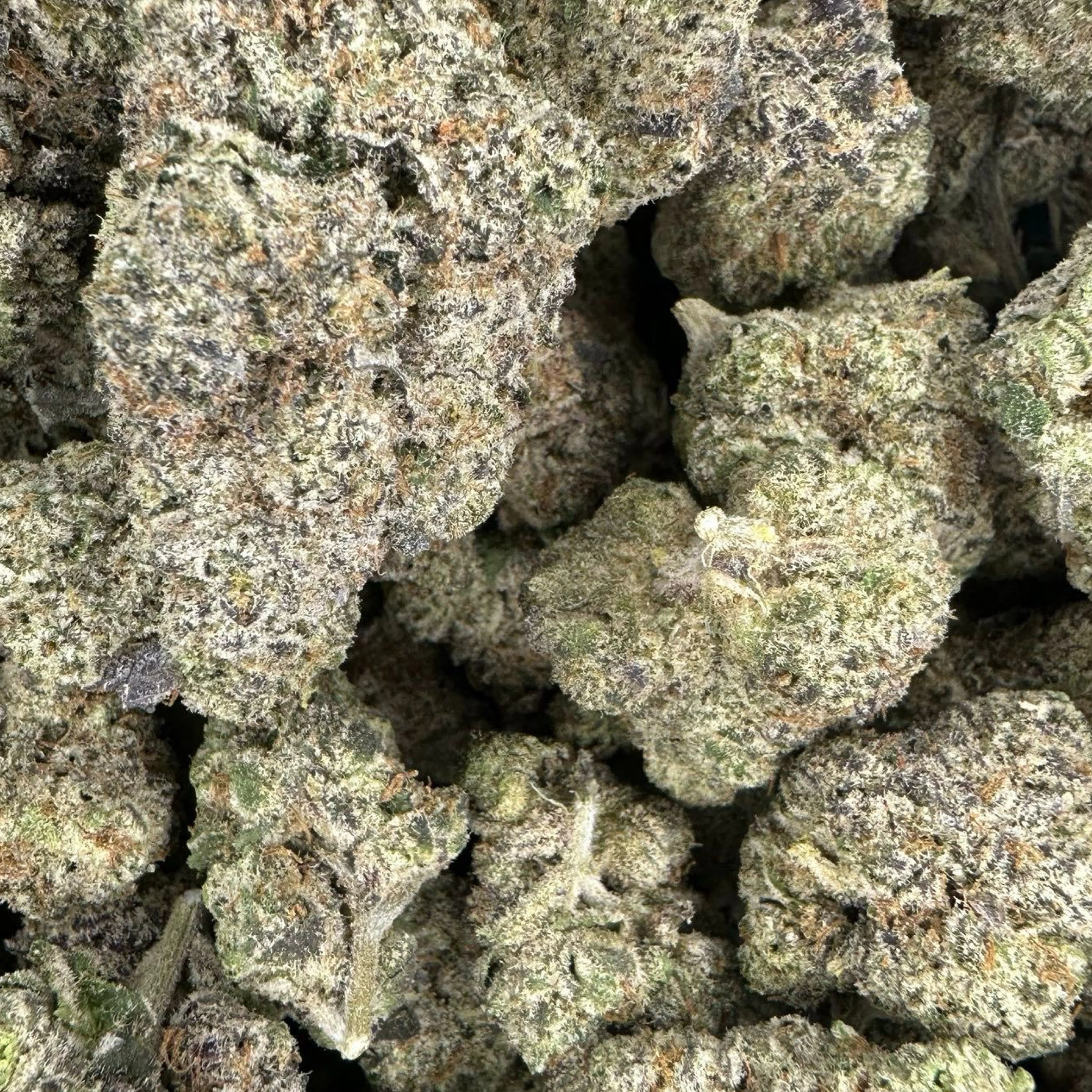 THCa Flower | Bubblegum Gelato Exotic - Image 4
