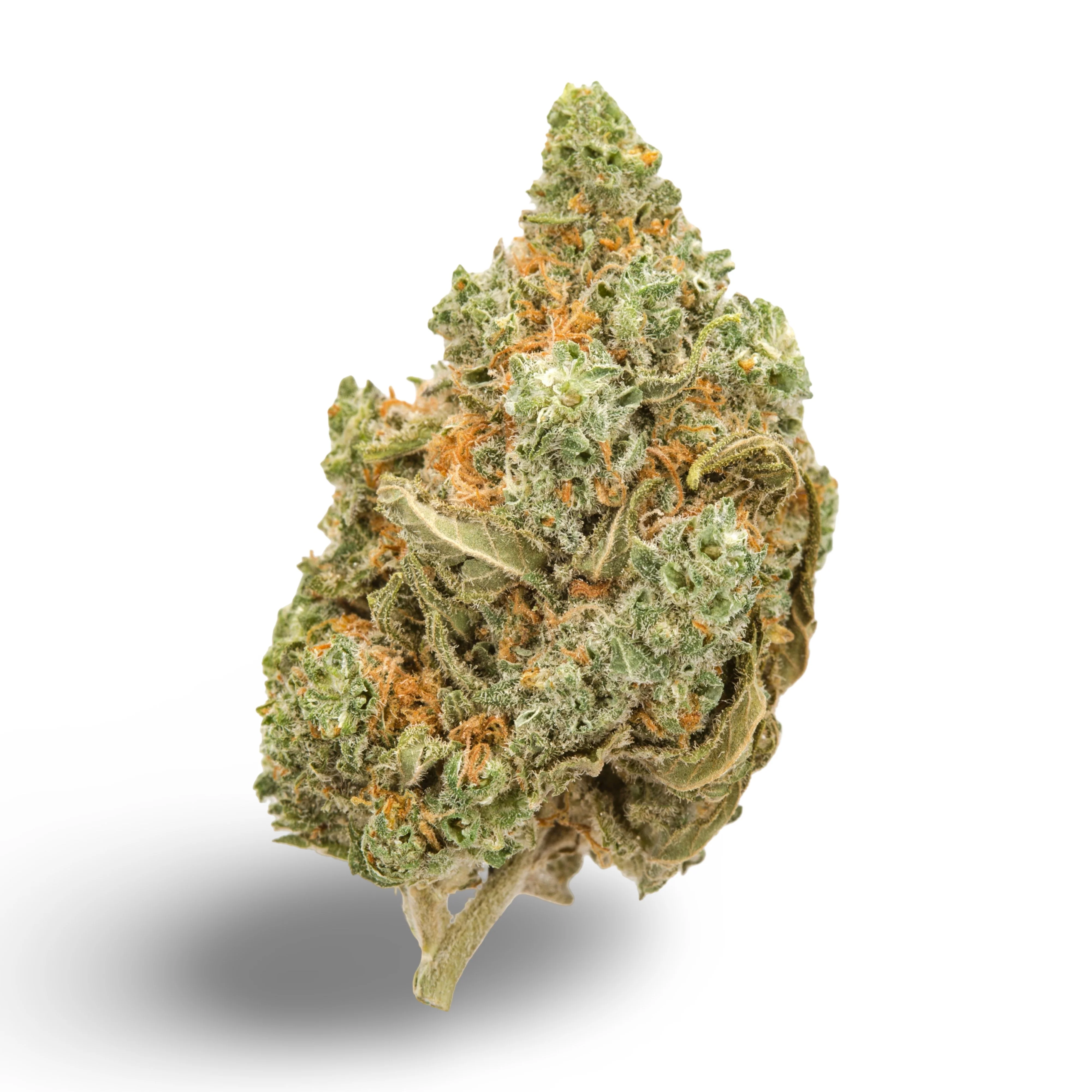 Blue Dream Pie THCa Flower