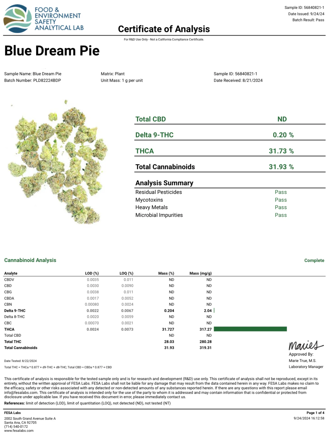 Blue Dream Pie THCa Flower - Image 5