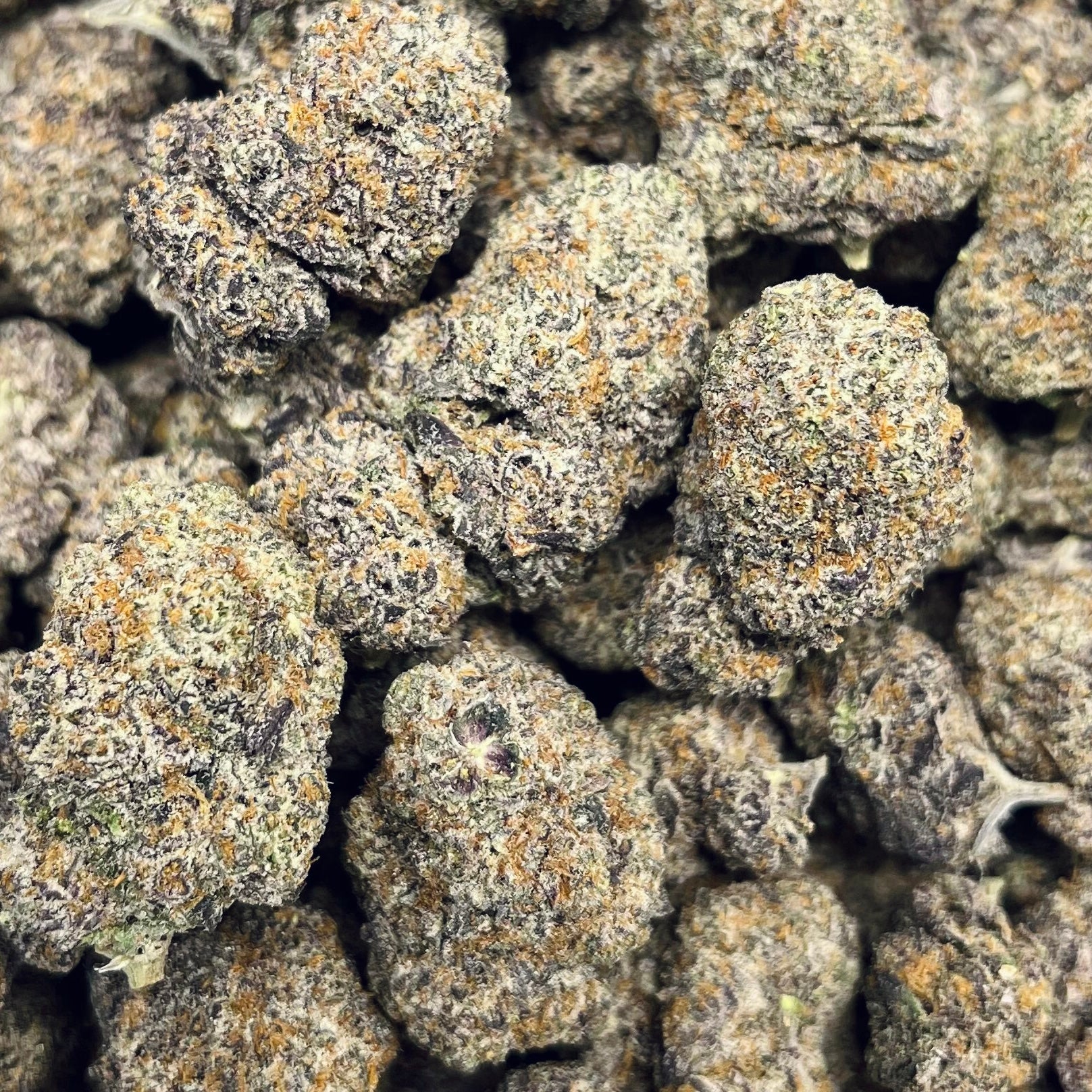 Blue Rhino Exotic THCa Flower - Image 2