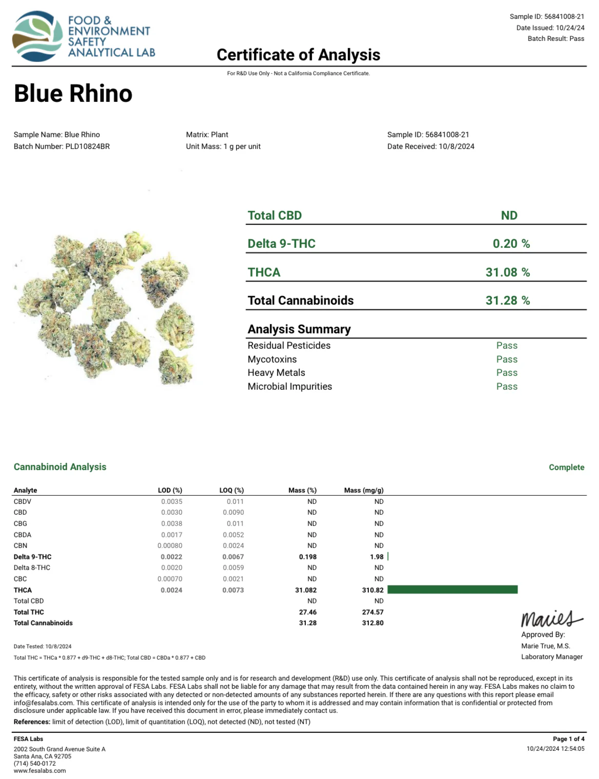Blue Rhino Exotic THCa Flower - Image 3