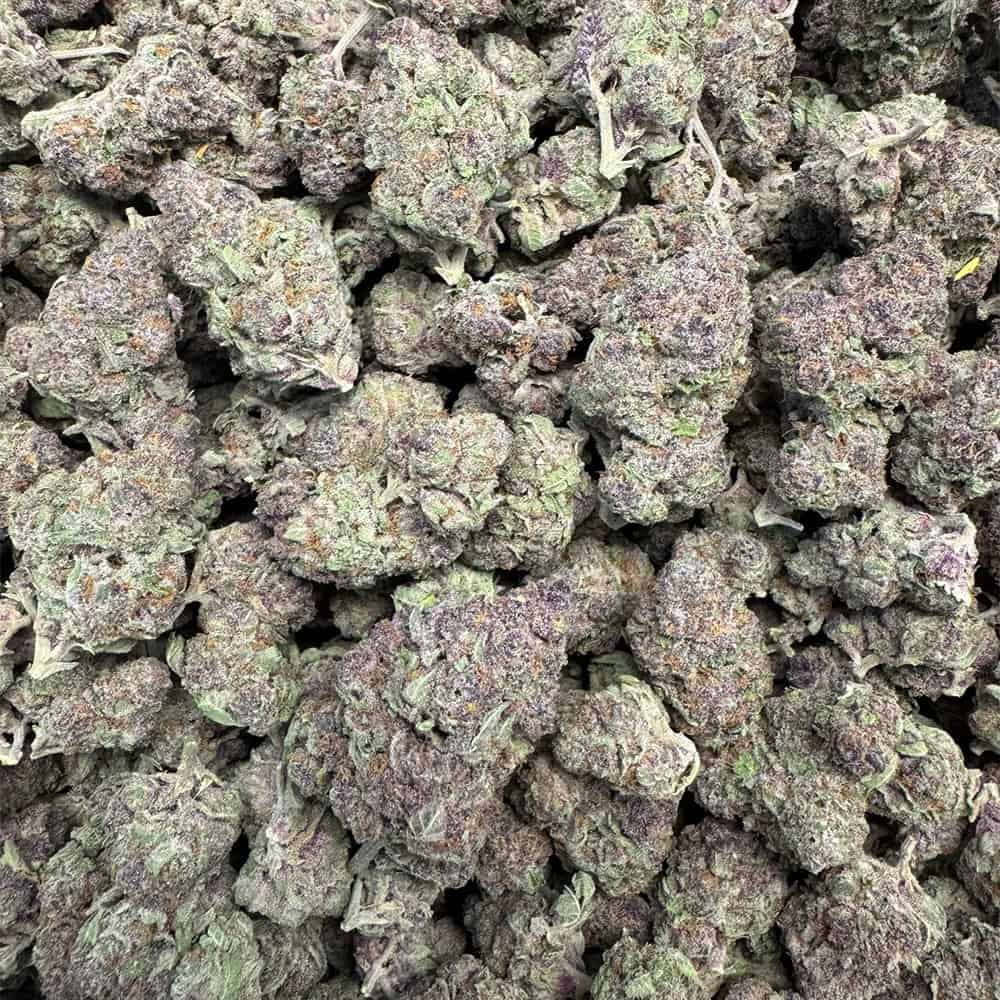 THCa Flower | Tropicana Cherry 28g - Image 3