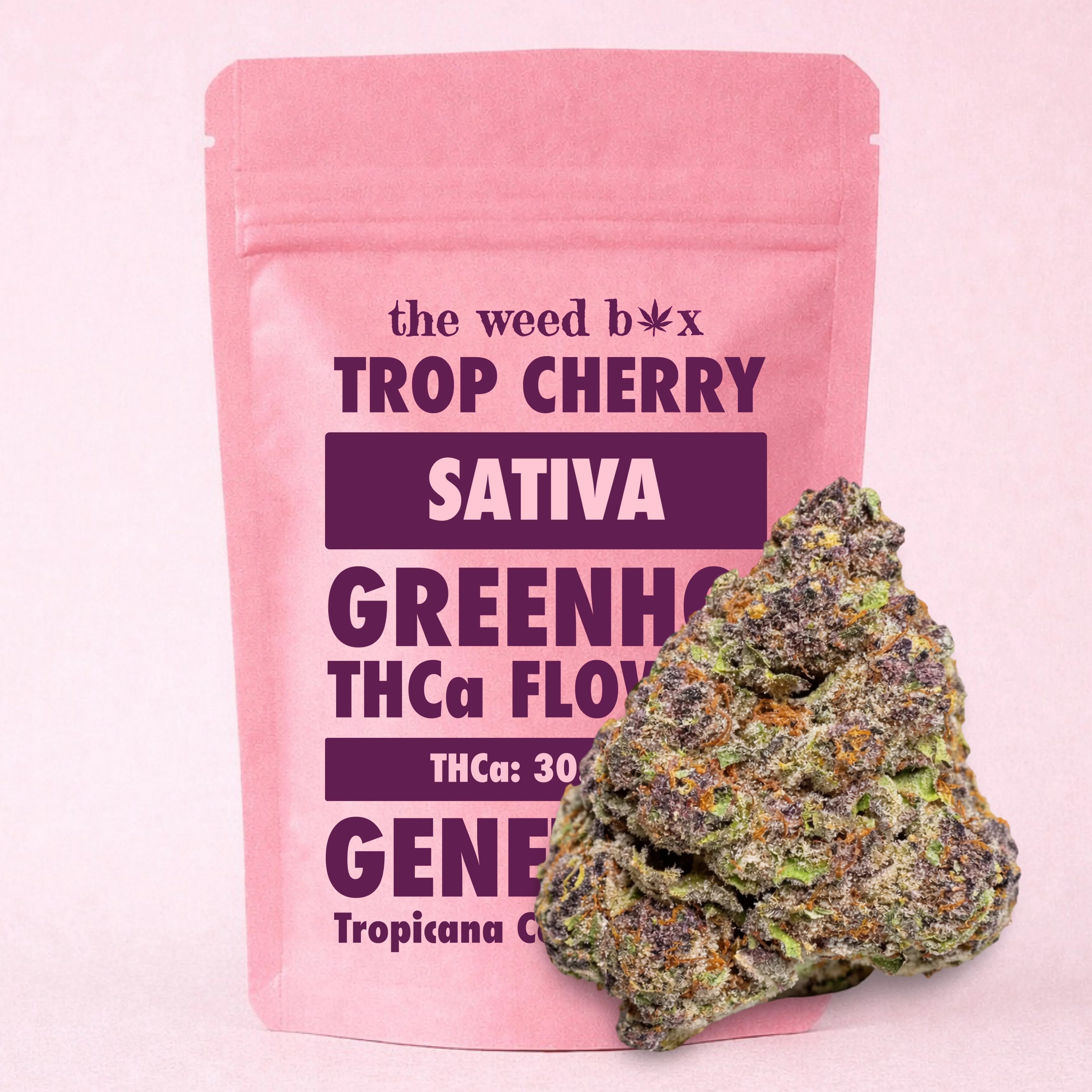 THCa Flower | Tropicana Cherry 28g - Image 5