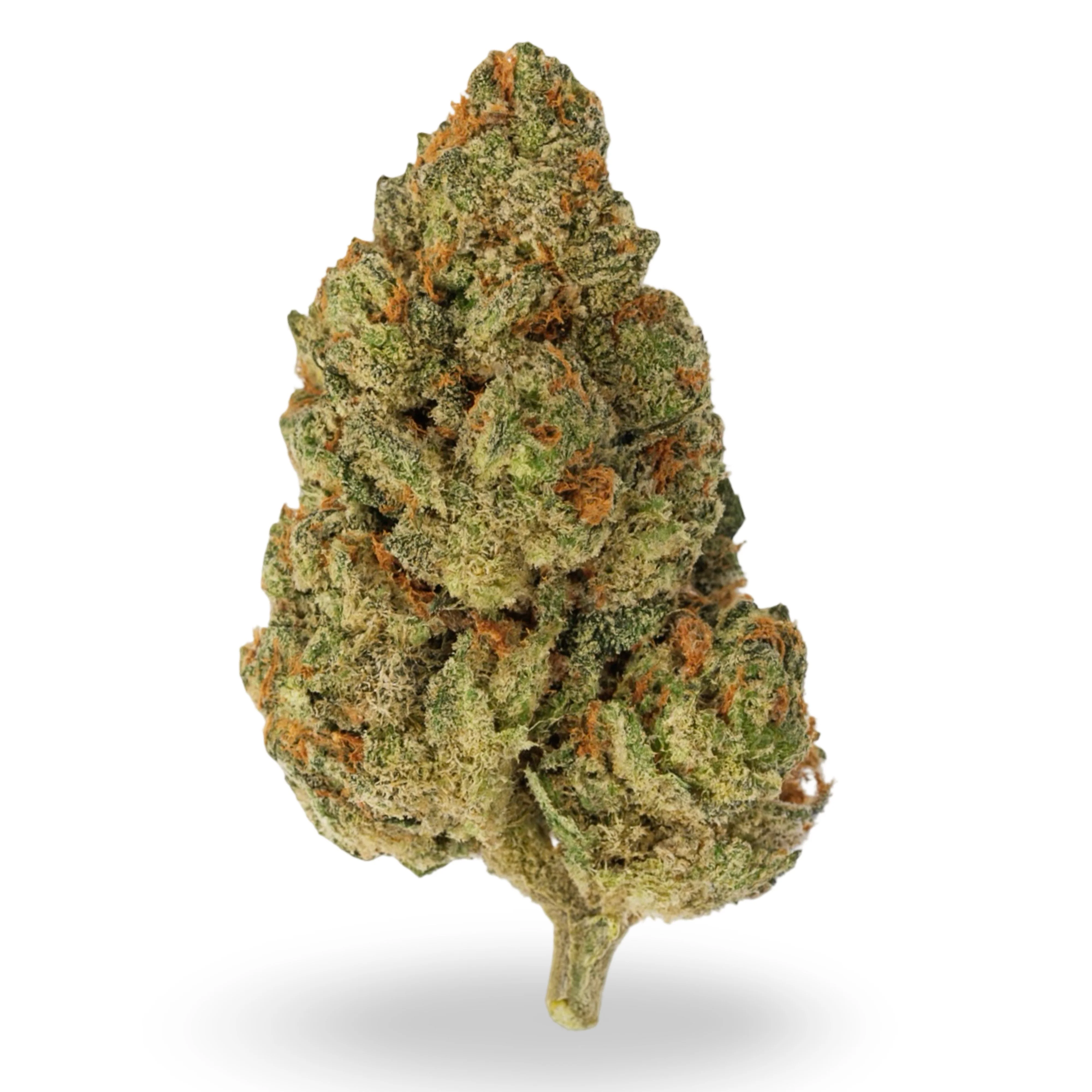THCa Flower | Mendo Breath