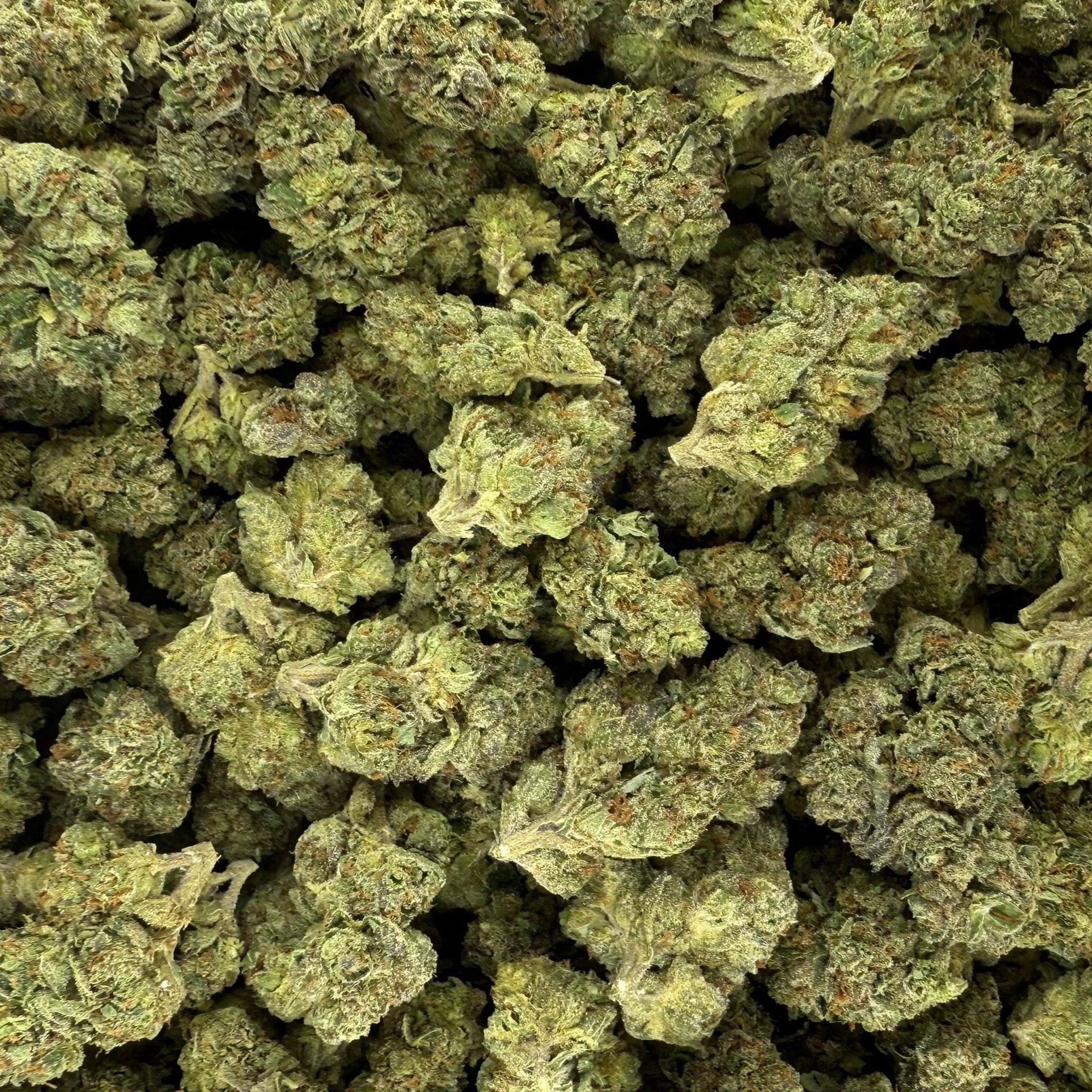 THCa Flower | Mendo Breath - Image 4
