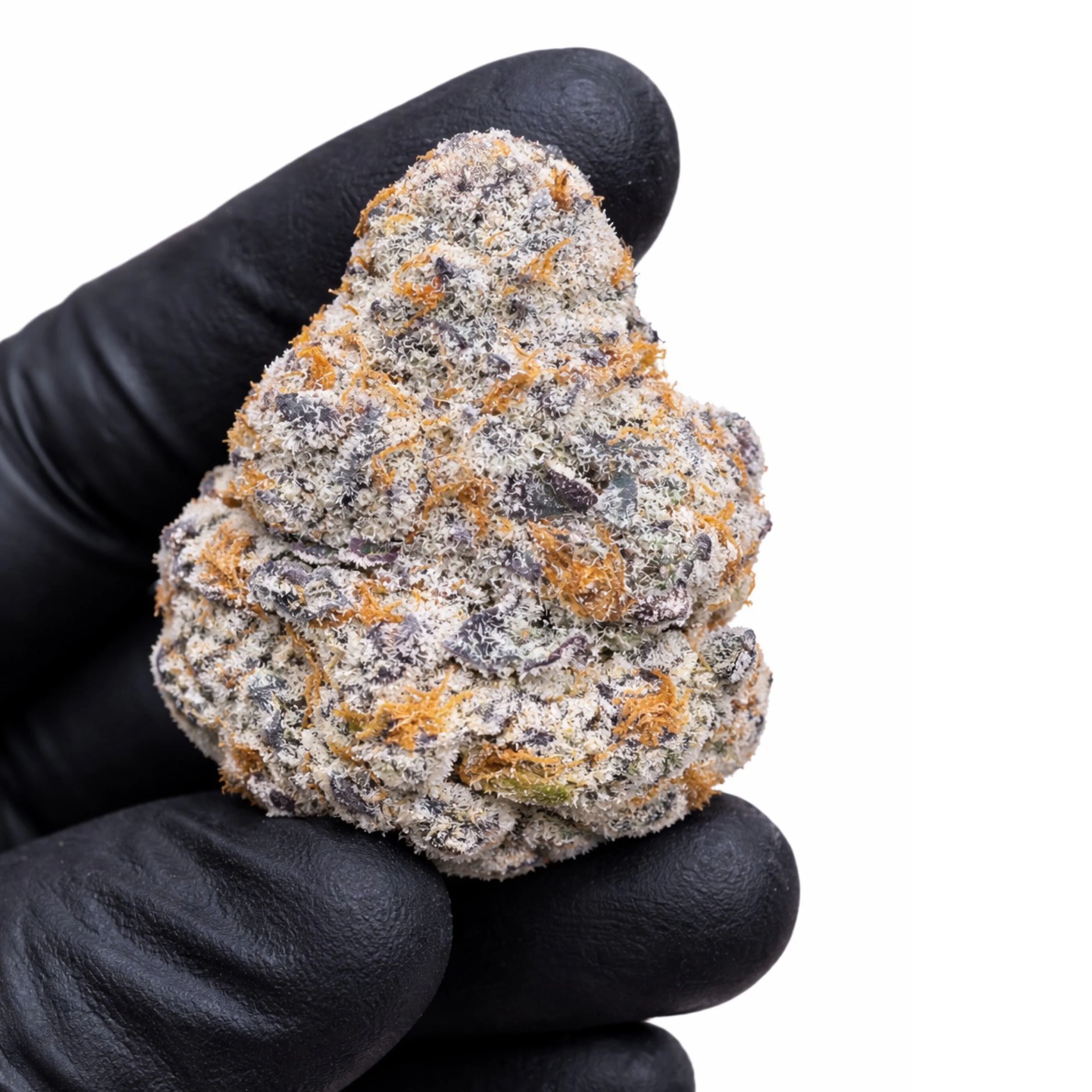 THCa Flower | Northern Lights Exotic - Image 4