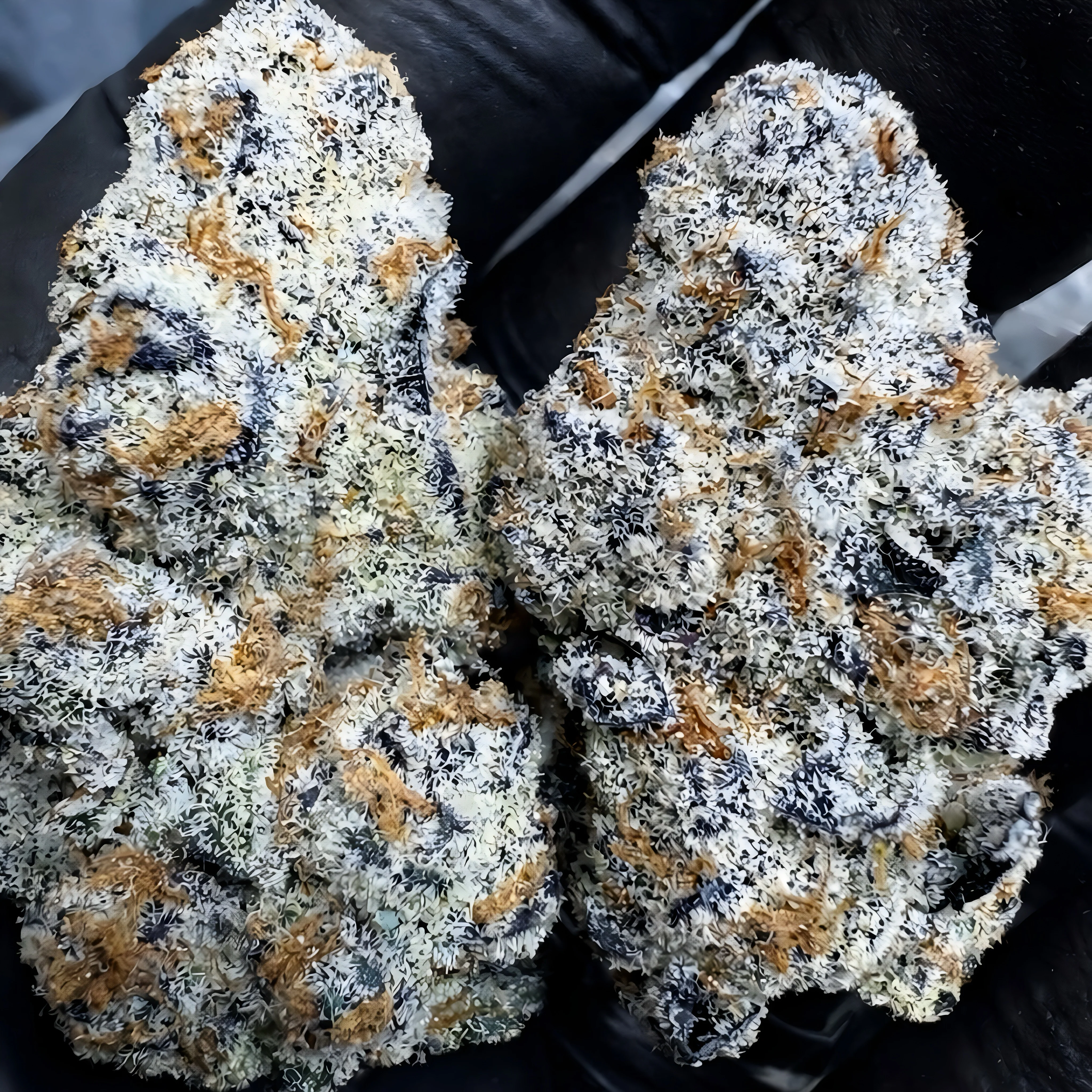 THCa Flower | Northern Lights Exotic - Image 2