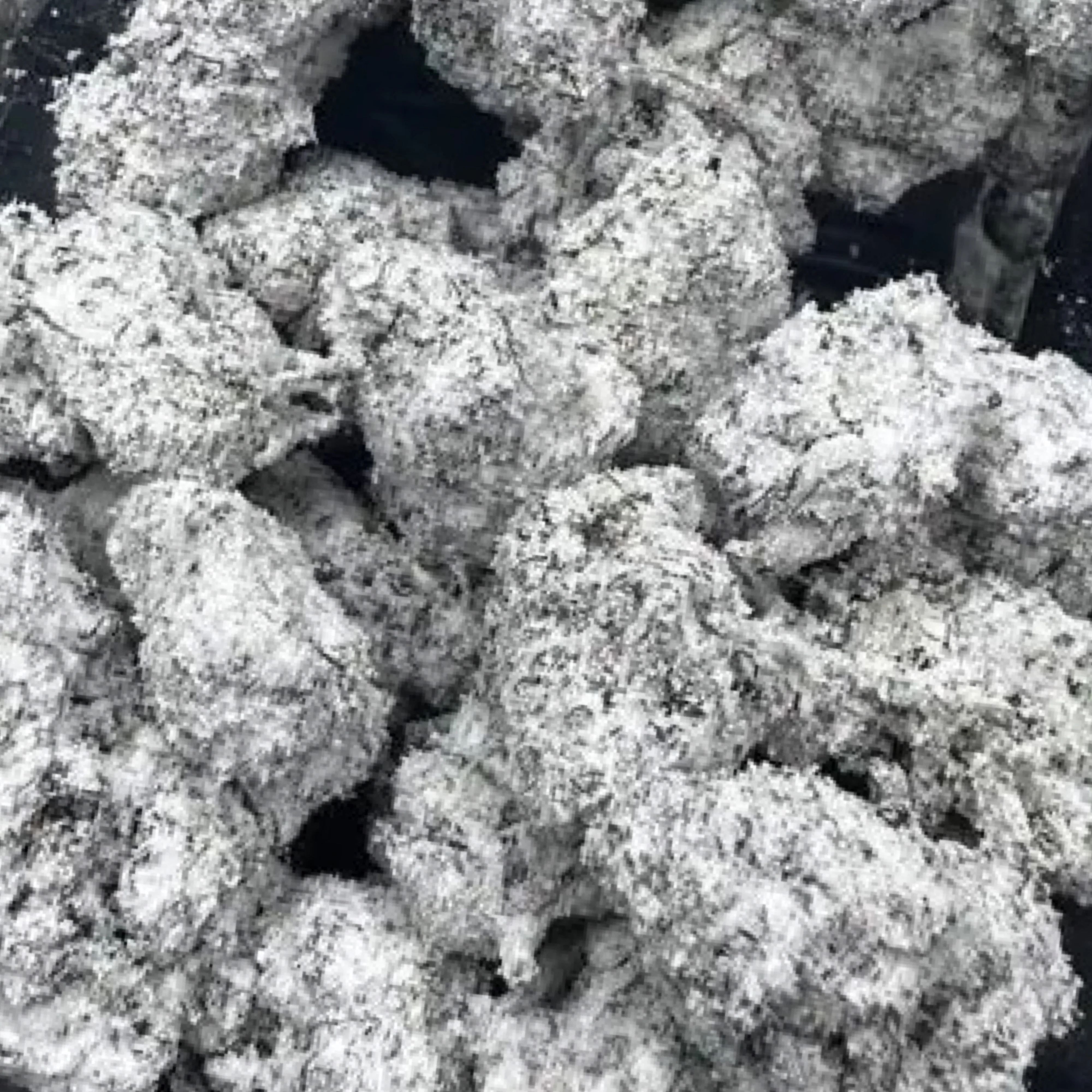 10g Gelato Snowcaps THCa Flower - Image 3