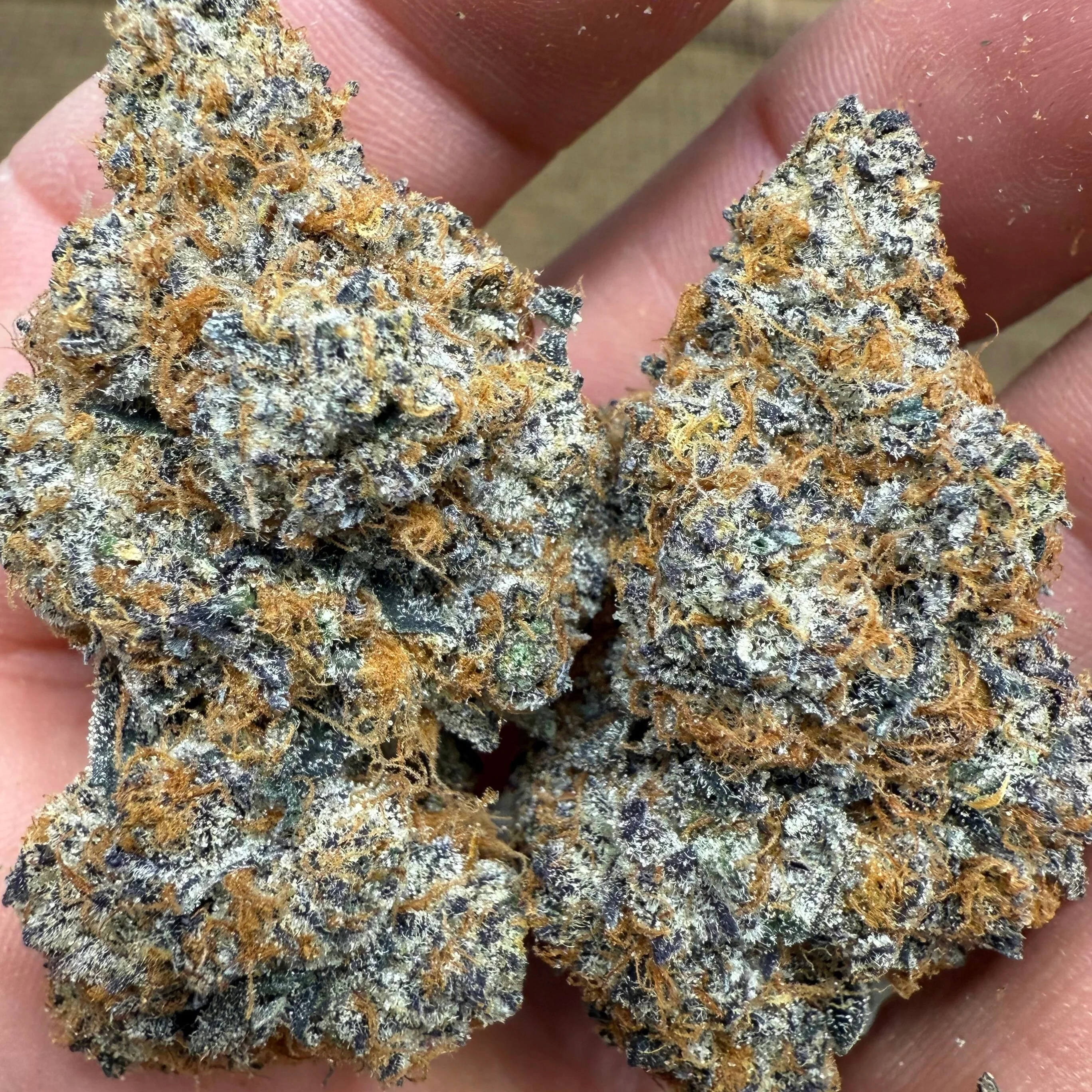 Glitter Bomb Exotic THCa Flower - Image 2