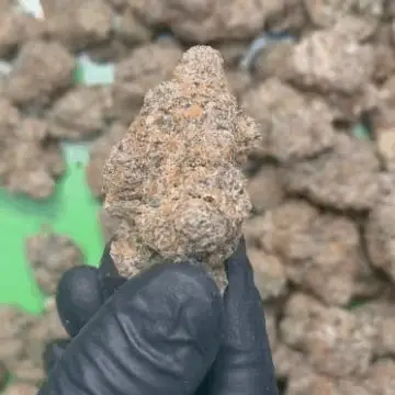 Glitter Bomb Exotic THCa Flower - Image 4