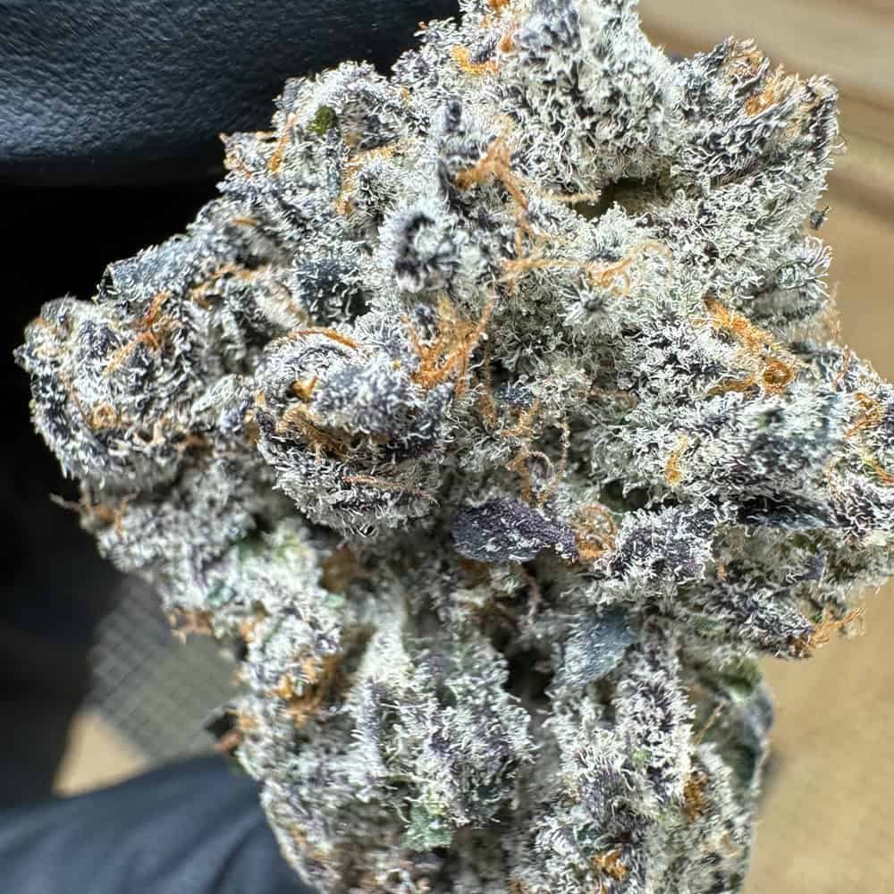 10g Dante’s Wrath Exotic Micros THCa Flower - Image 3