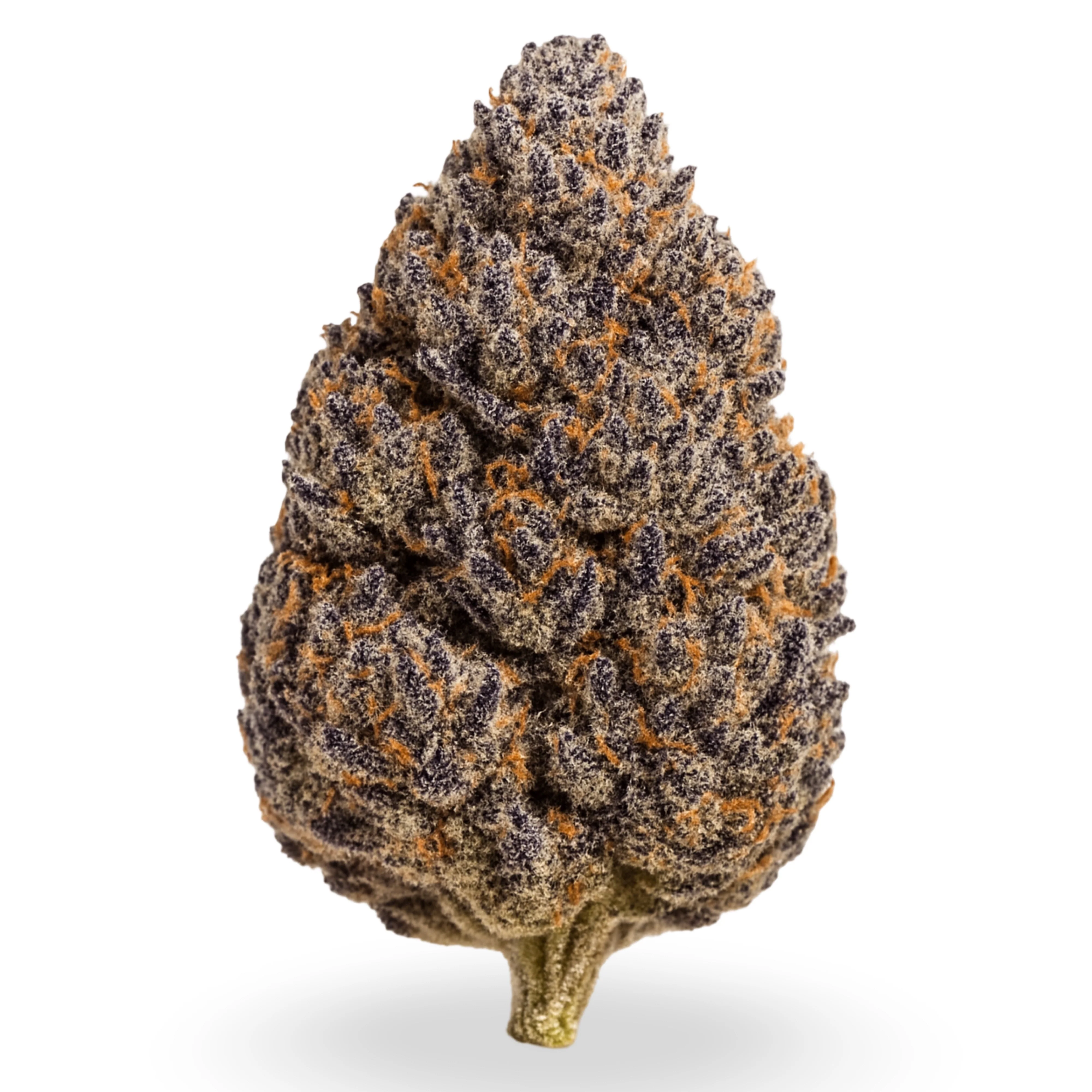 THCa Flower | Hash Burger Exotic