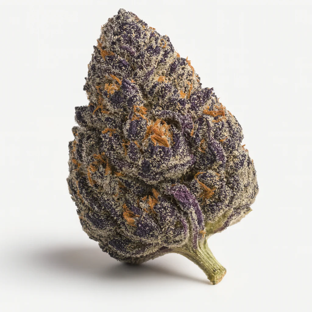 THCa Flower | Hash Burger Exotic - Image 4