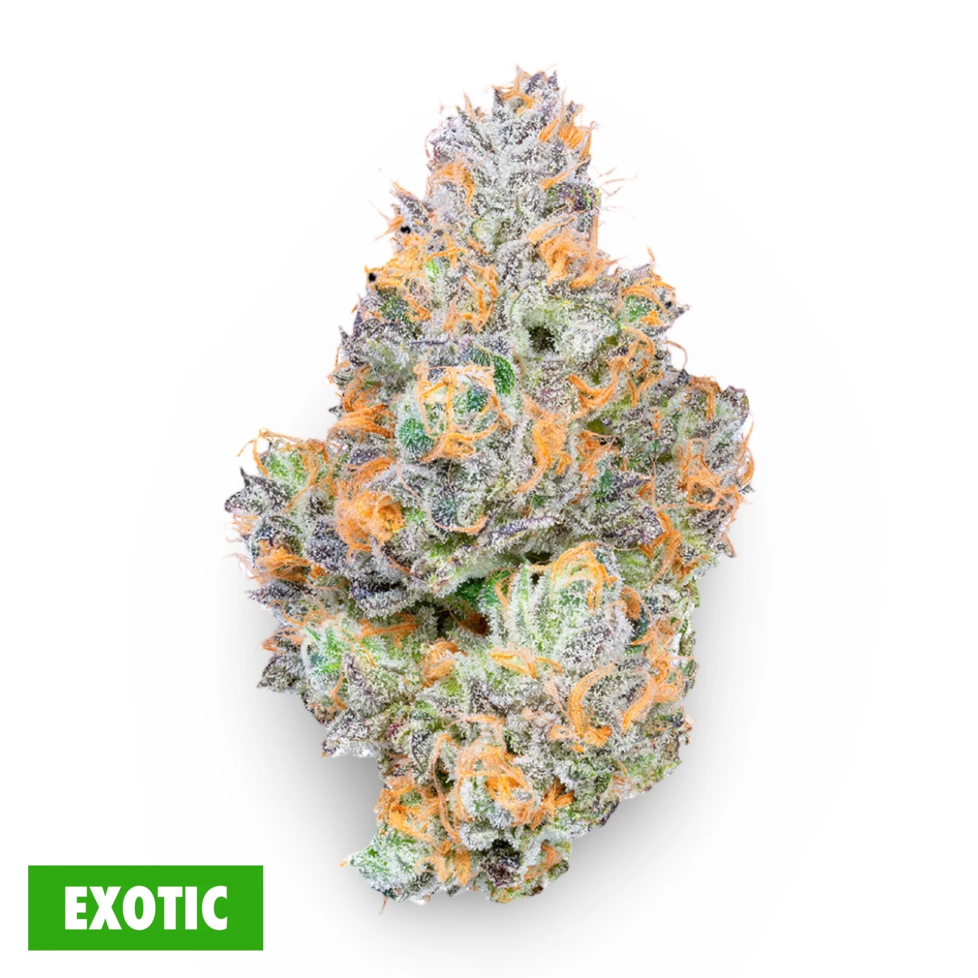 Hawaiian Snowcone THCa Flower - Image 2