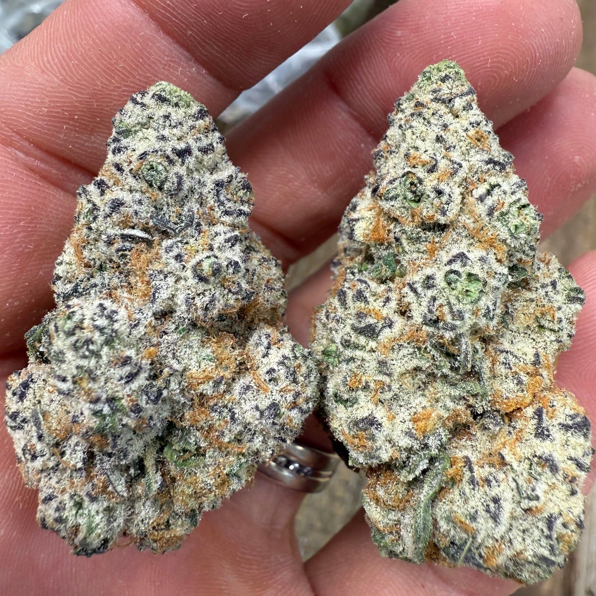 Hawaiian Snowcone THCa Flower - Image 4