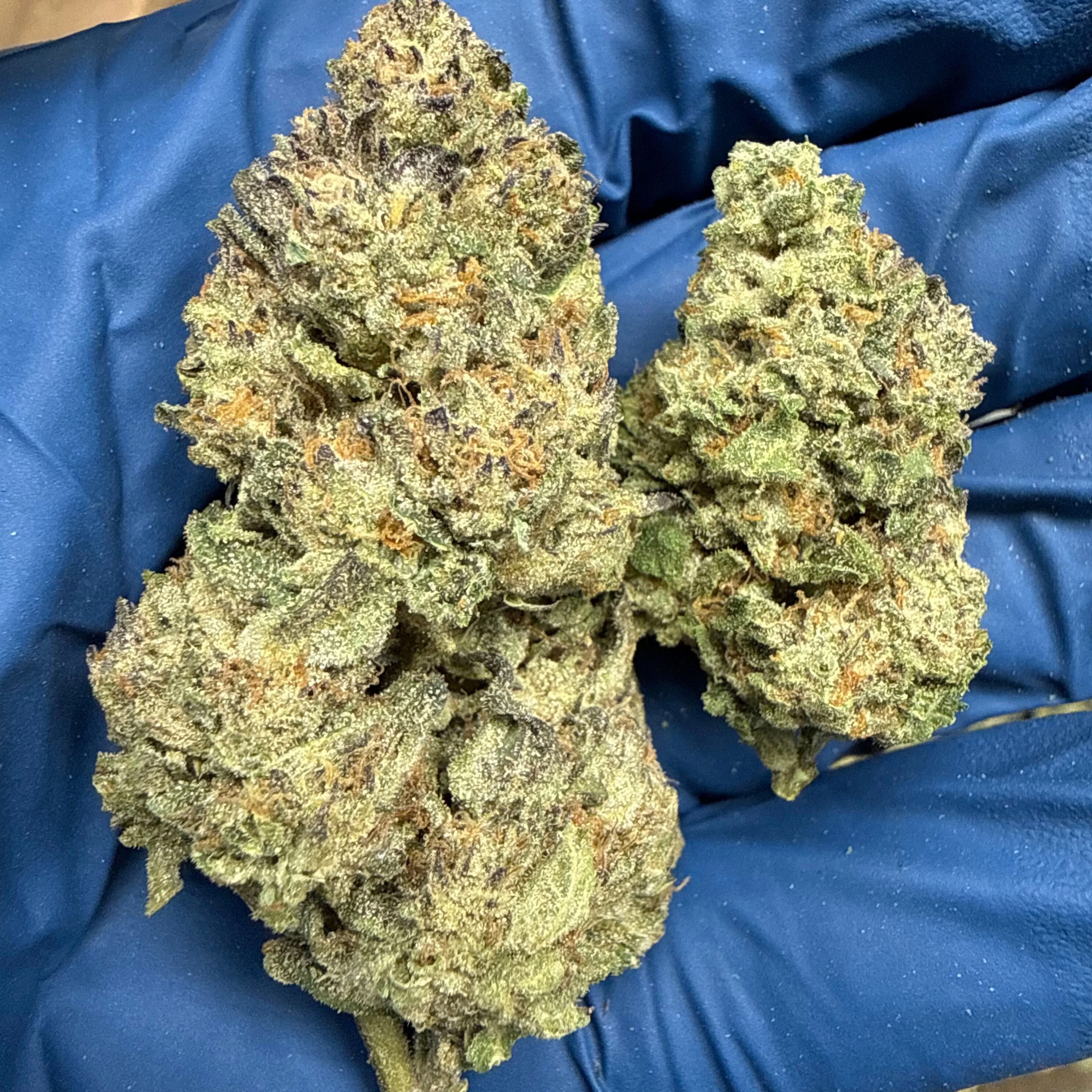 THCa Flower | Ice Cream Cake 14g - Image 2