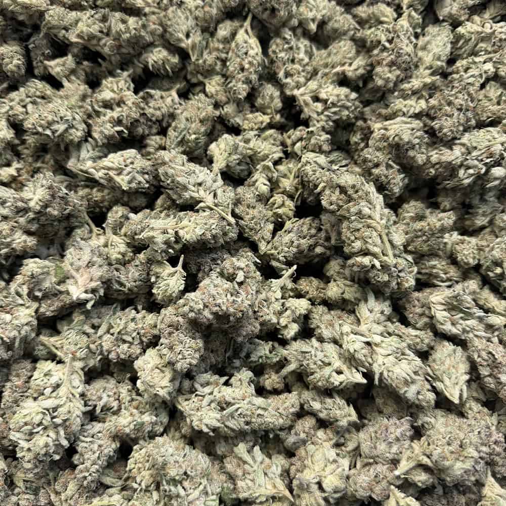 THCa Pre-Roll | Ice Cream Cake - Image 4