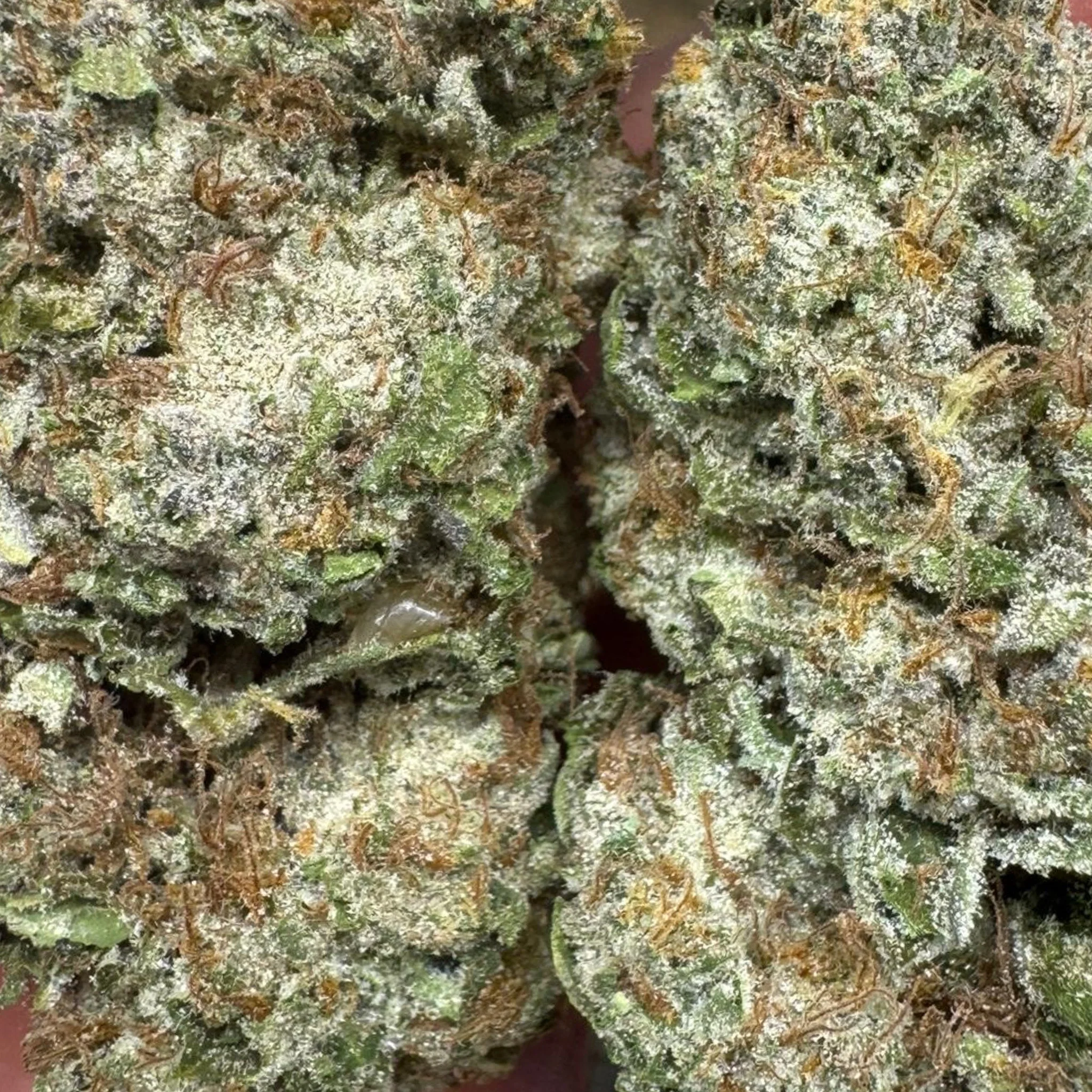 THCa Flower | OG Chem - Image 3