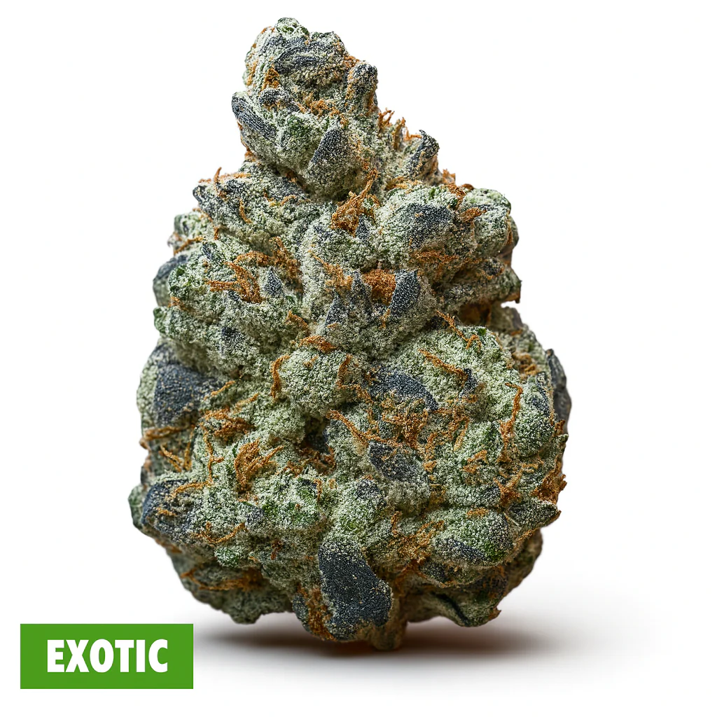 THCa Flower | Oreoz Exotic