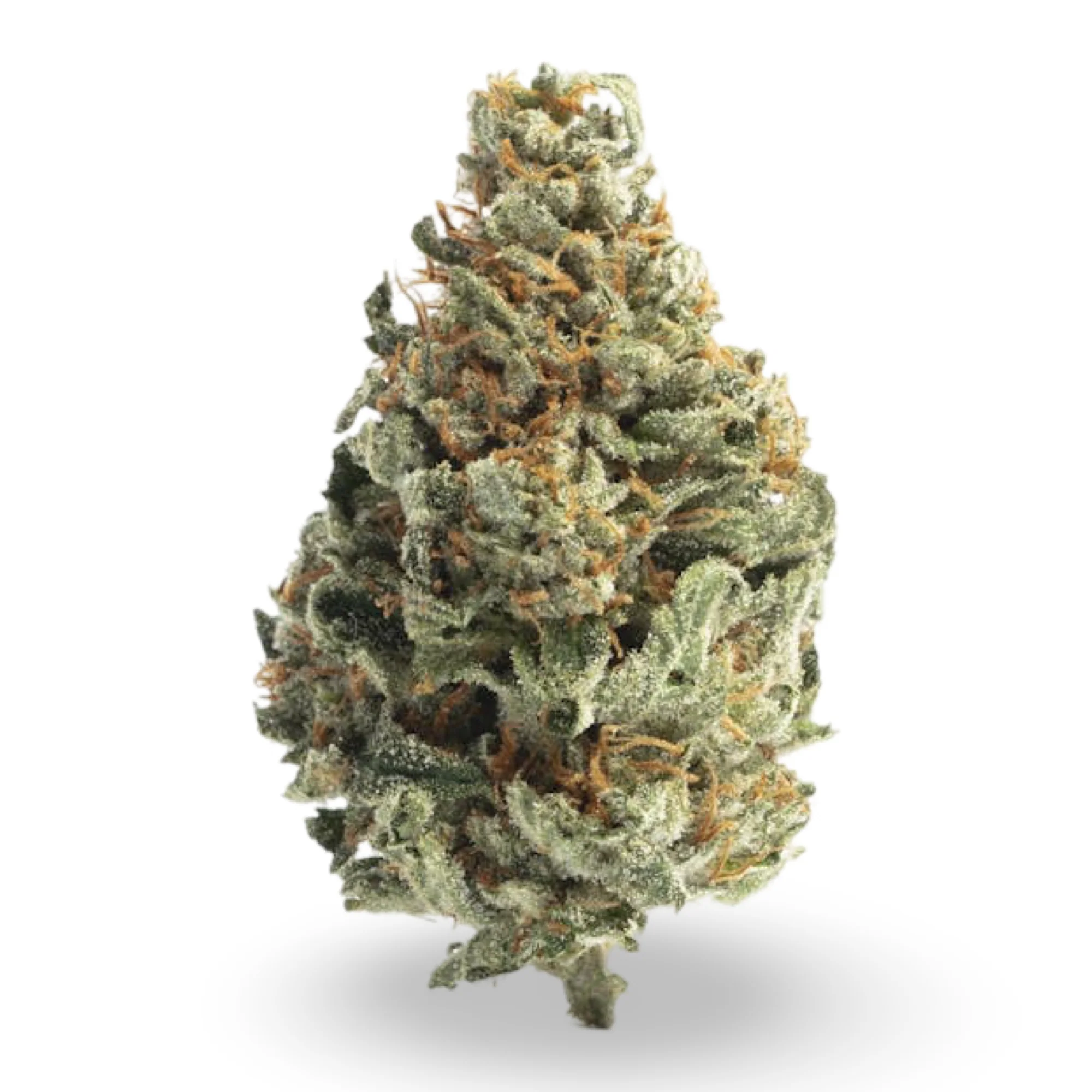 THCa Flower | White Kush 14g - Image 2