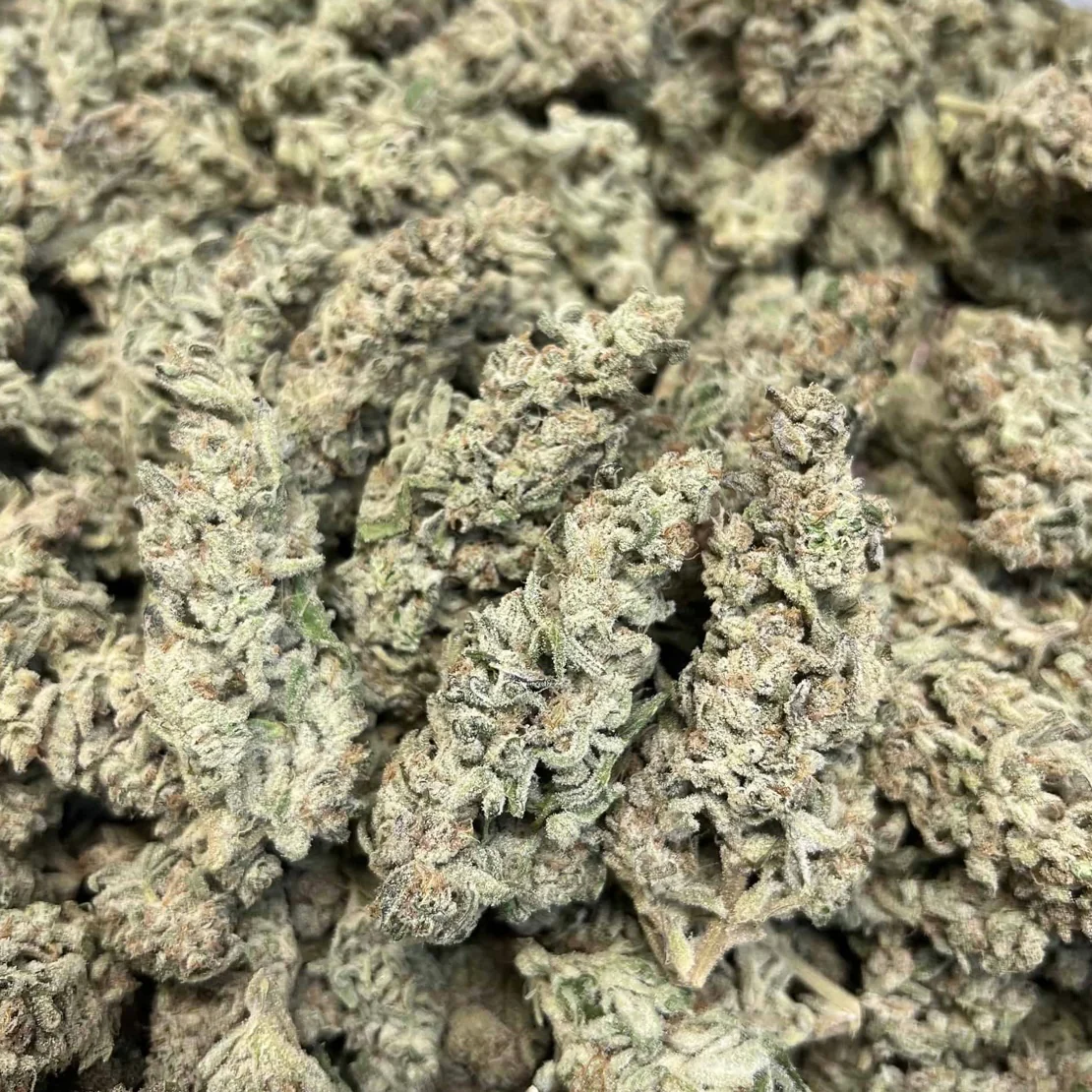THCa Flower | White Kush 14g - Image 4