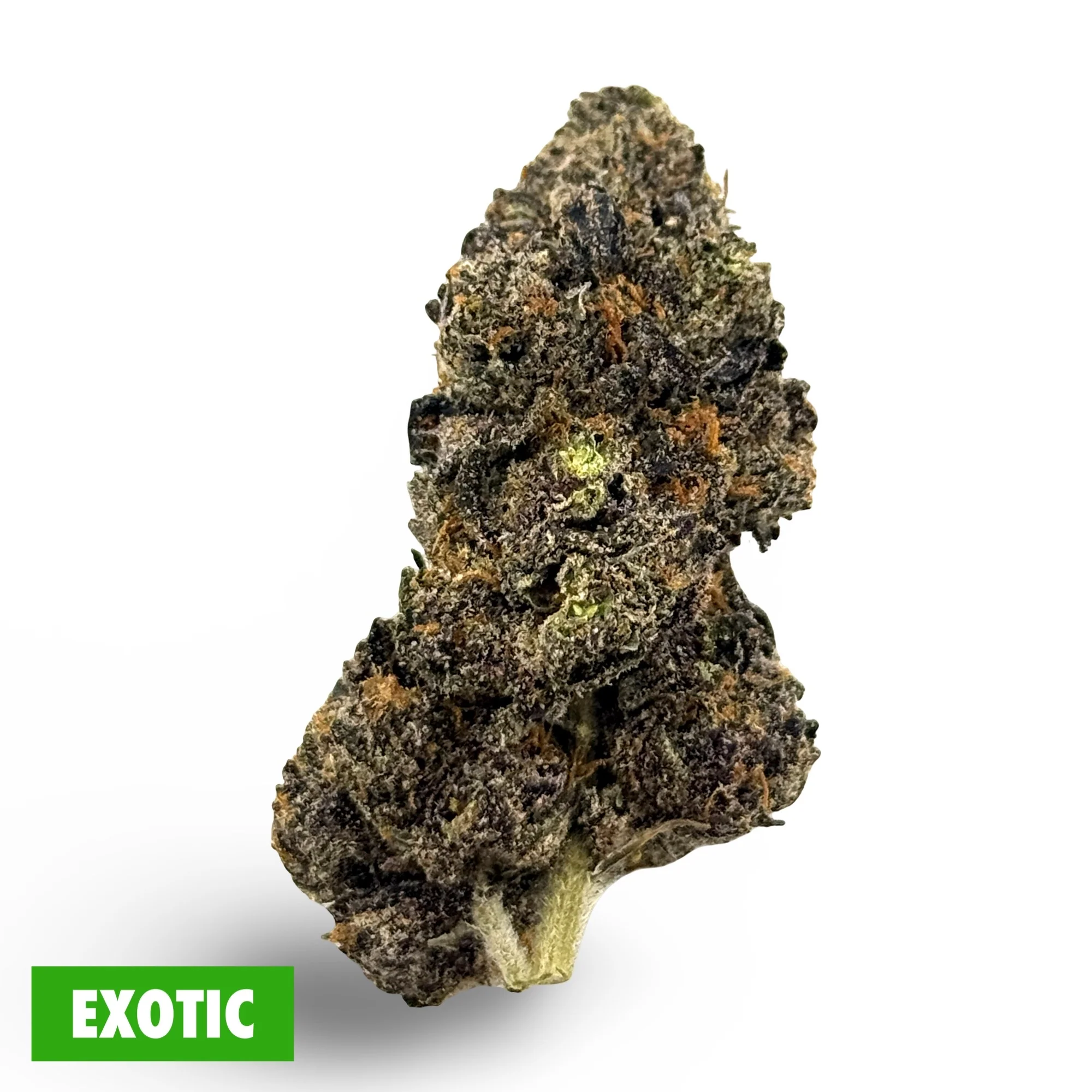 Purple Runtz Exotic THCa Flower - Image 2
