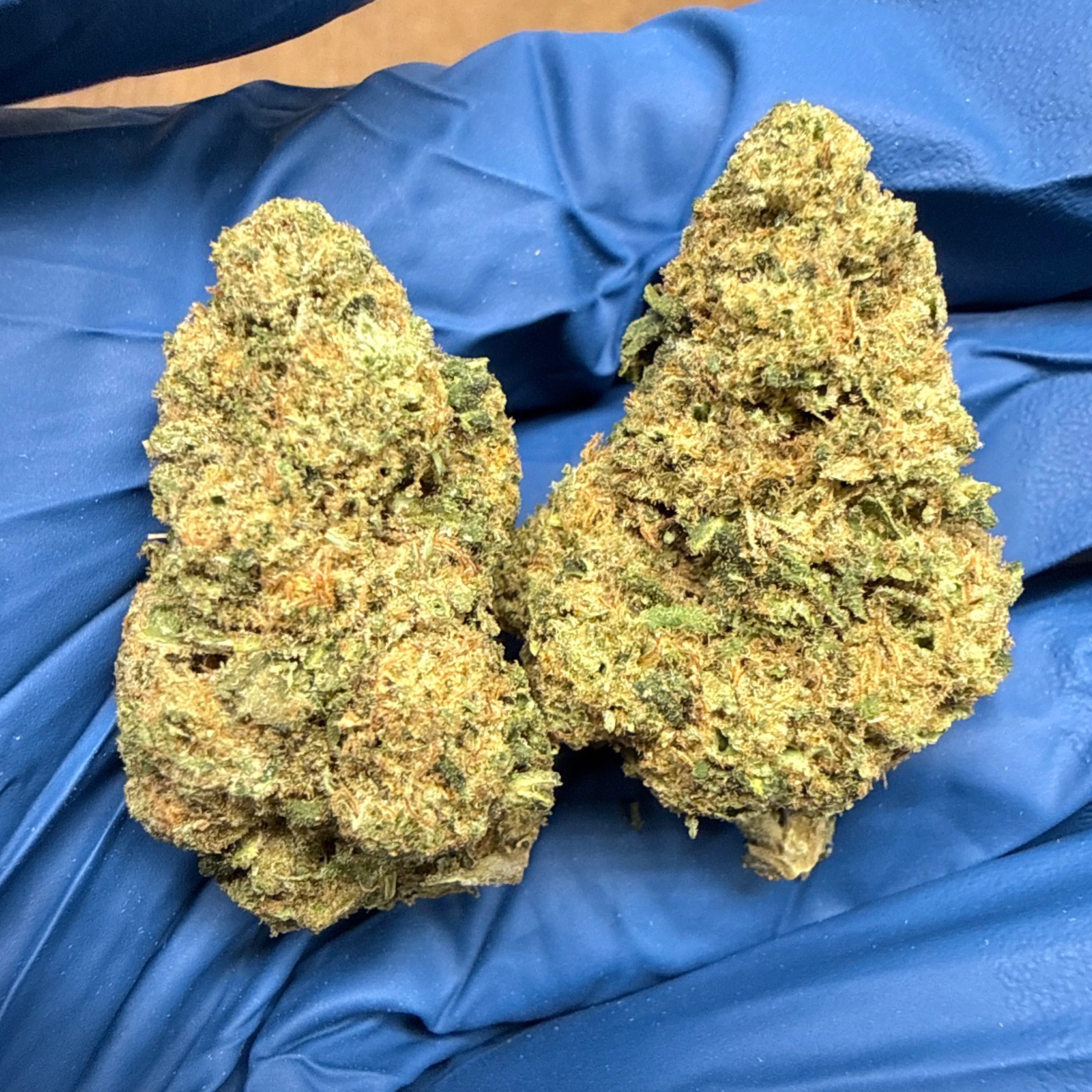 THCa Flower | Açaí Gelato 14g - Image 2