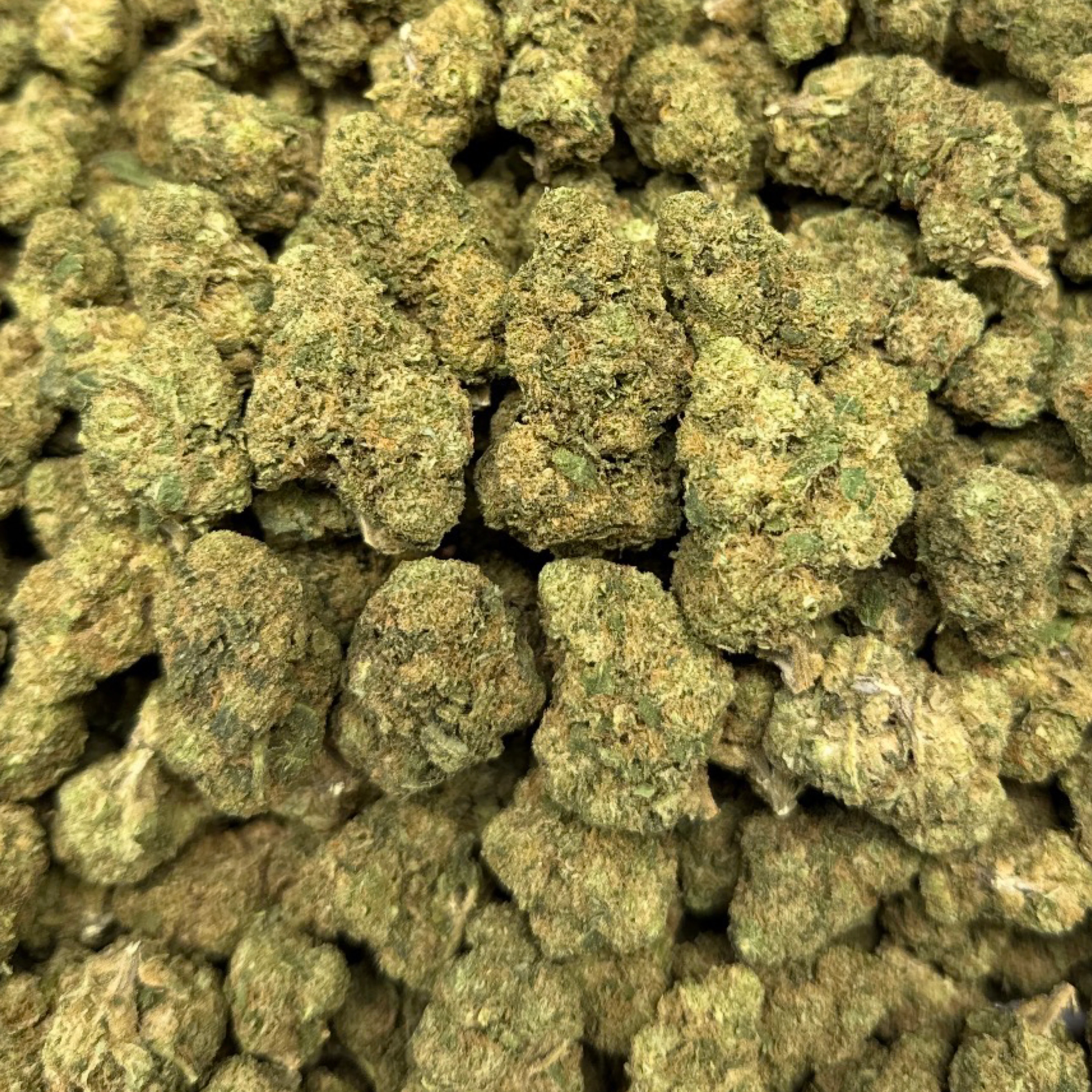 THCa Flower | Açaí Gelato 14g - Image 3