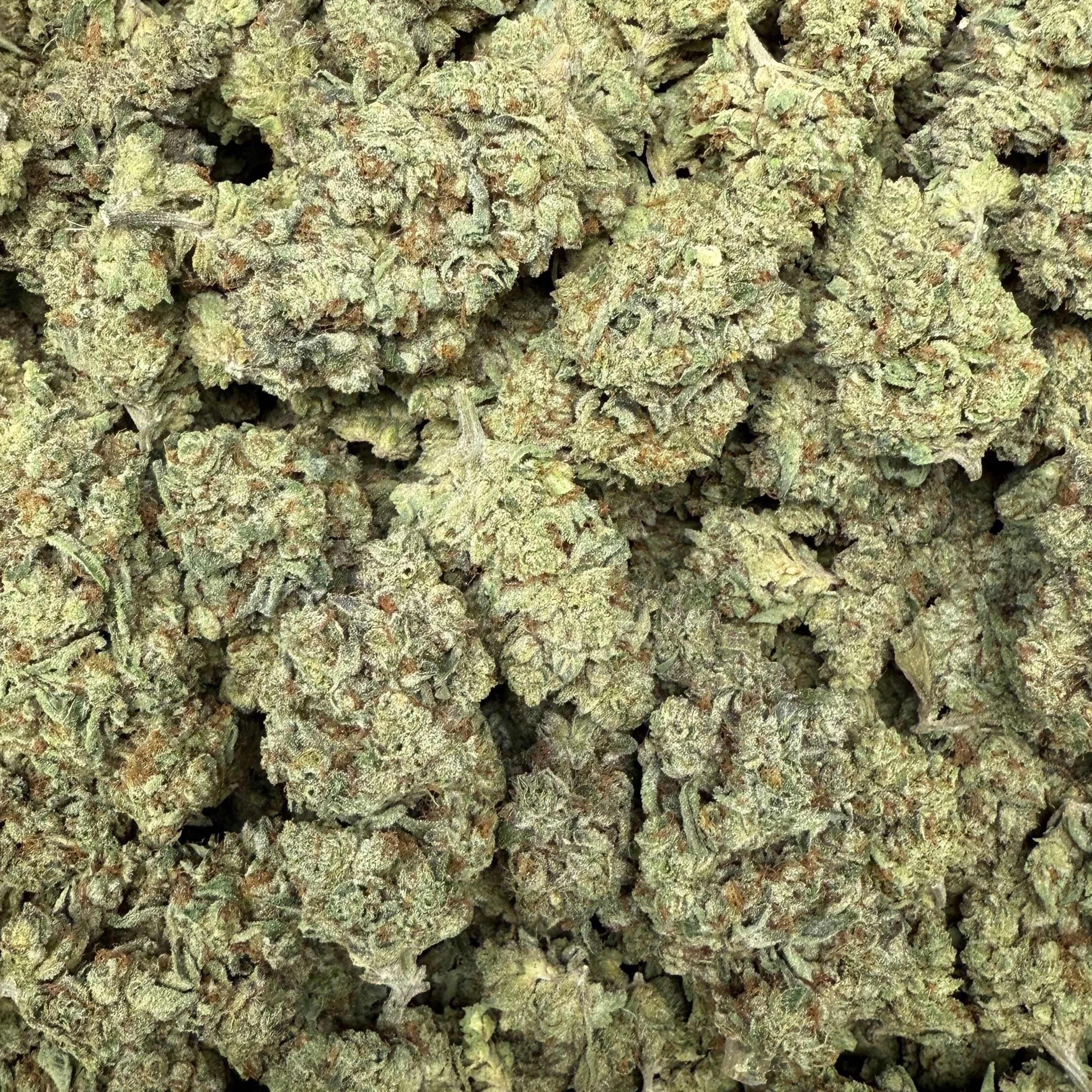 THCa Flower | Cream Pop 28g - Image 3