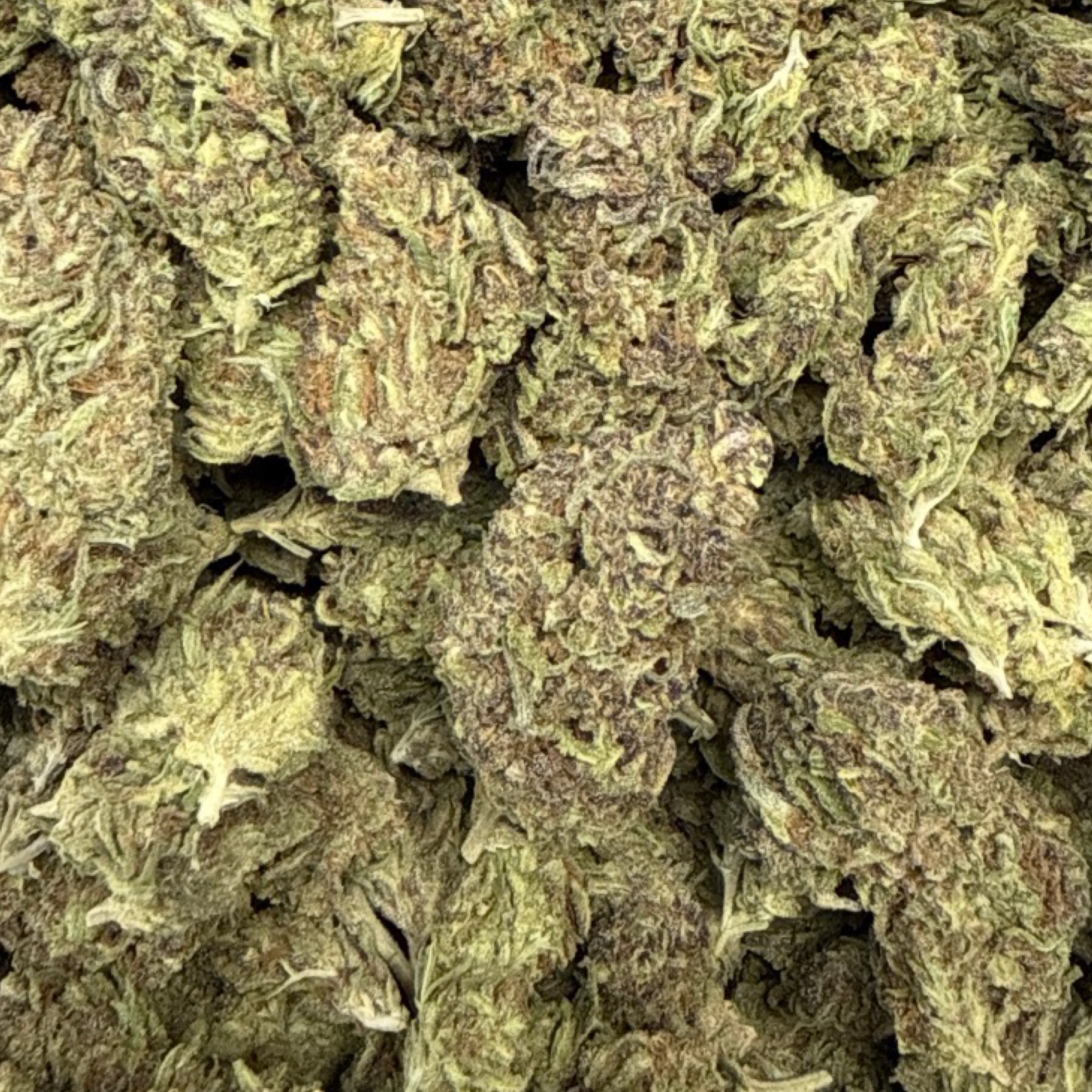 THCa Flower | Gelato 14g - Image 3