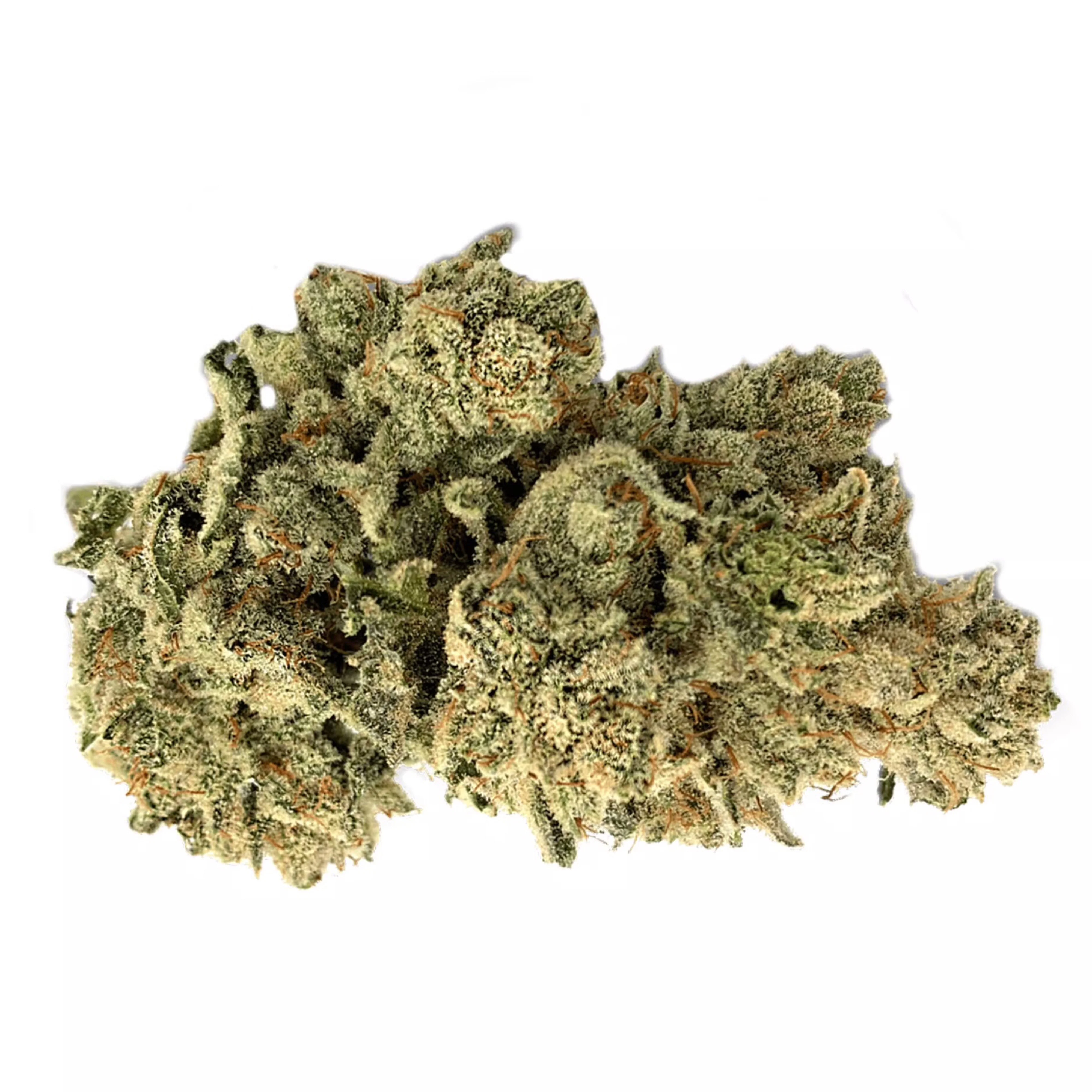THCa Flower | Gorilla Glue #4 | 14g - Image 2