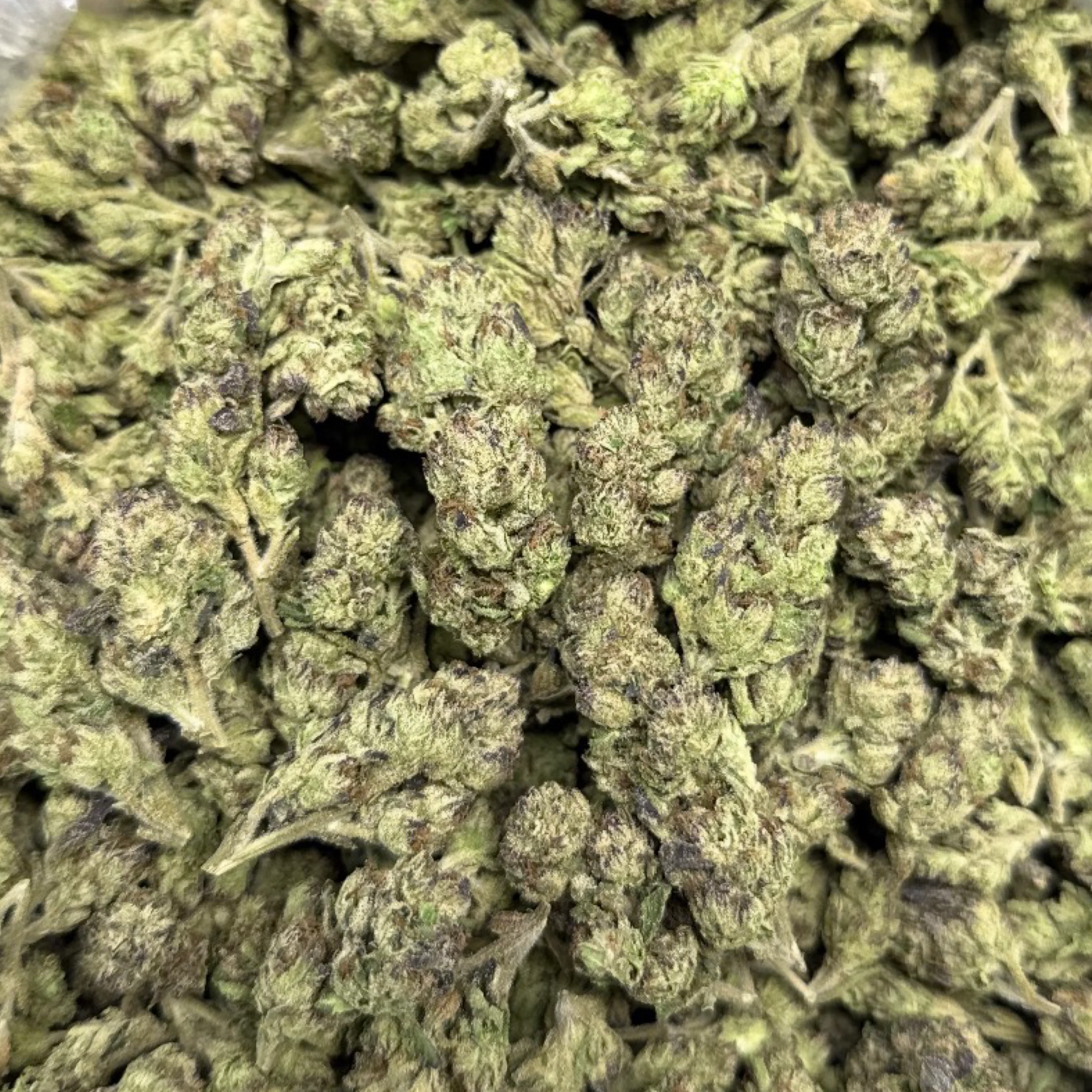 THCa Flower | Lemon Cherry Gelato Exotic Smalls 14g - Image 3