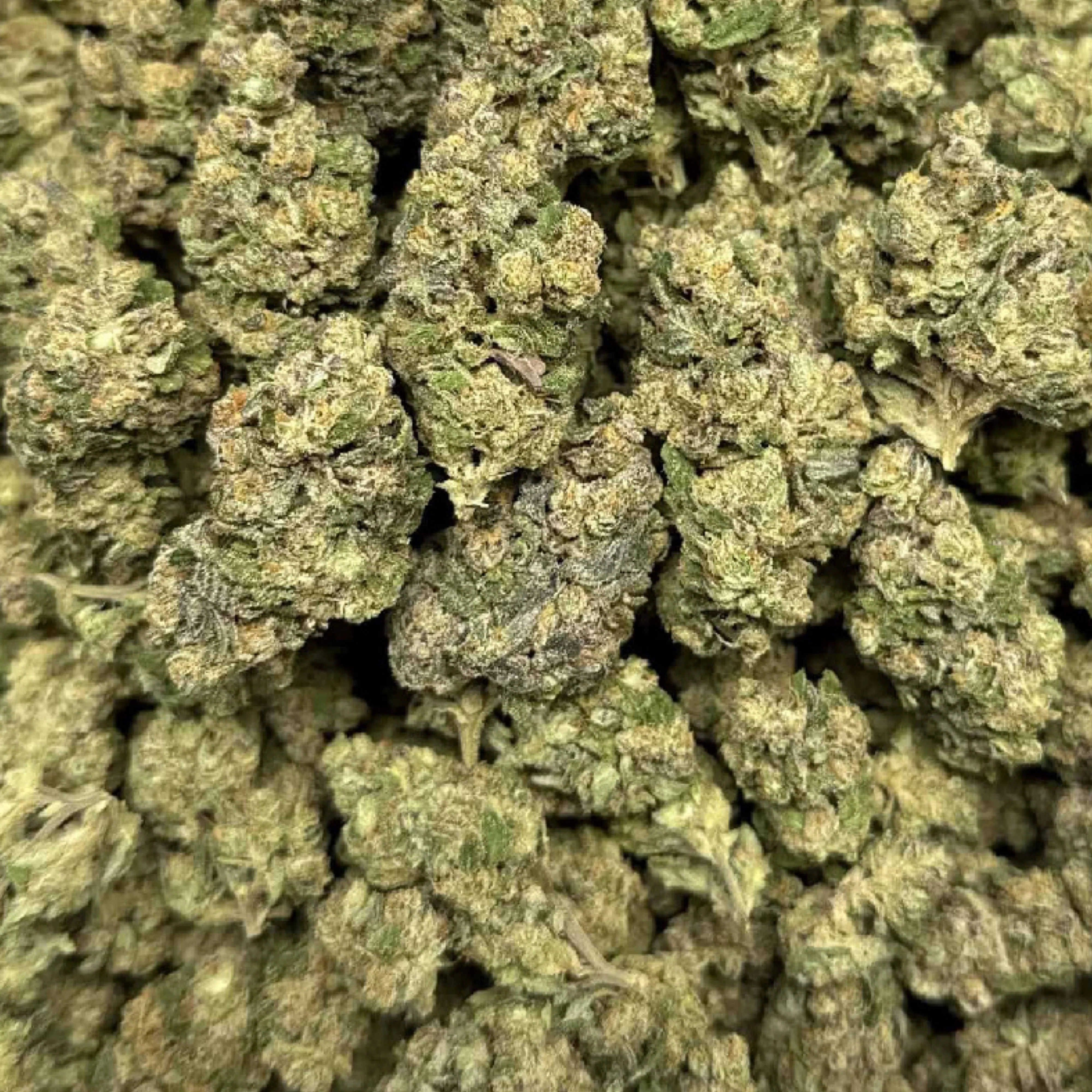 THCa Flower | Papaya Punch 14g - Image 2