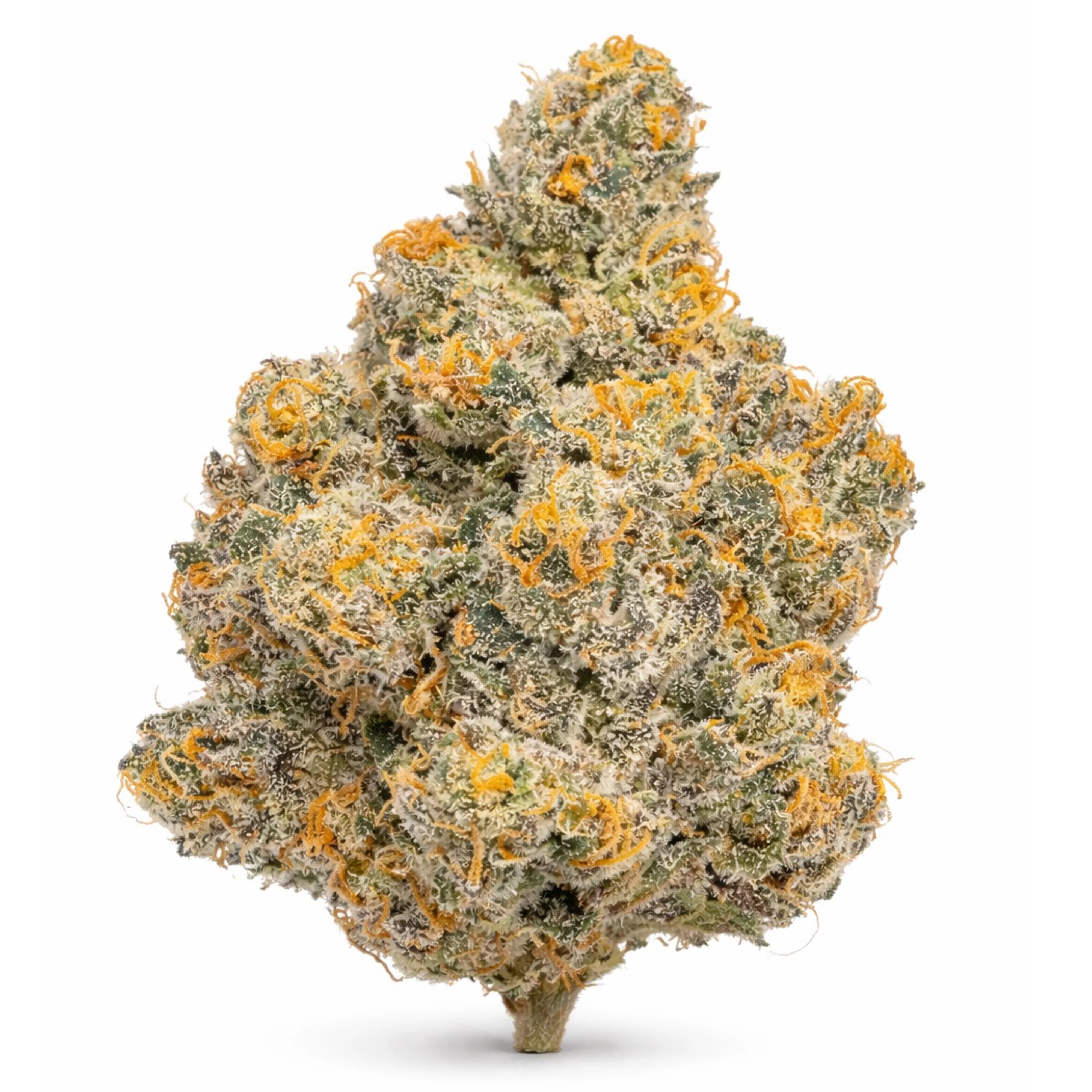 THCa Flower | Purple Haze Exotic