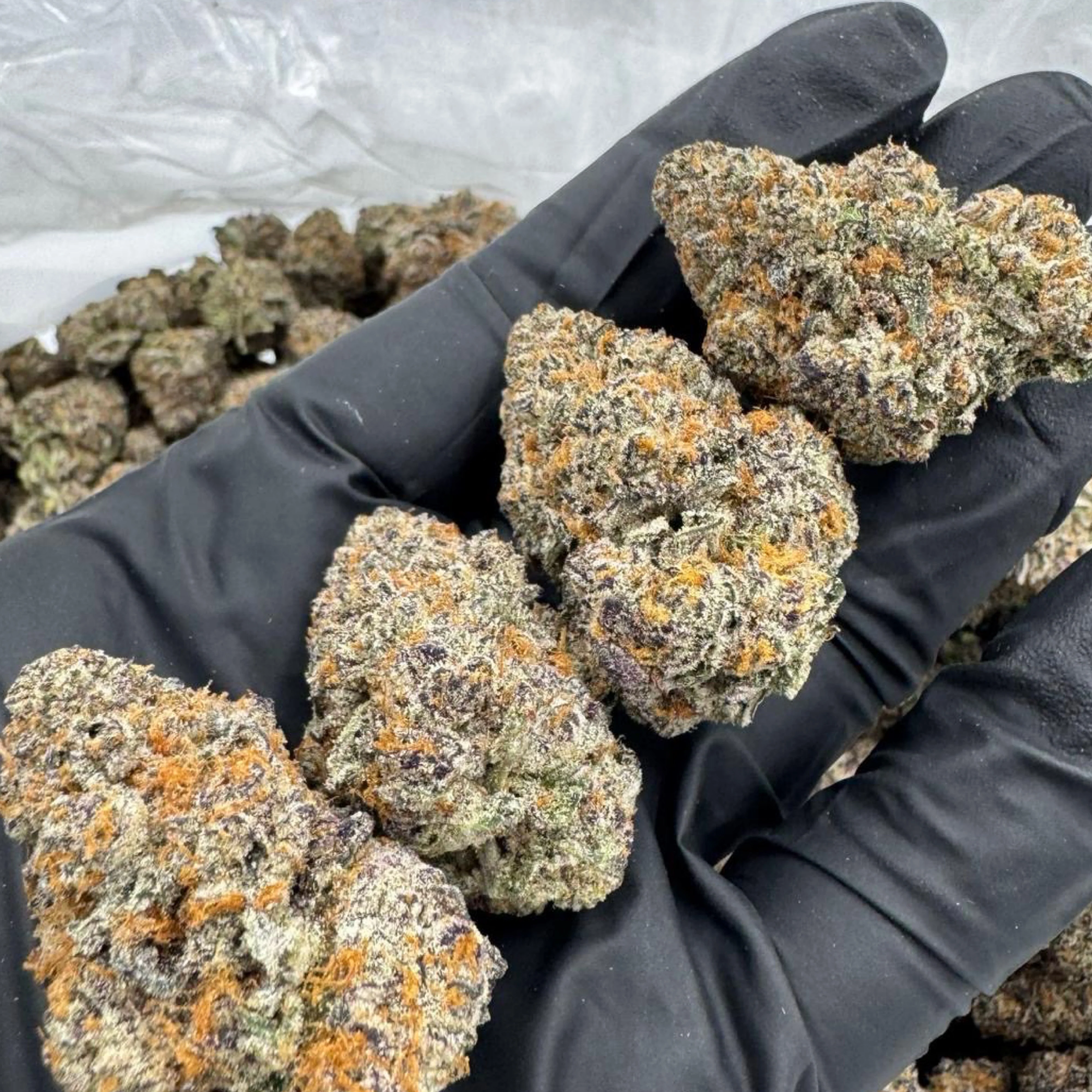 The Weed Box | October Box - Image 2