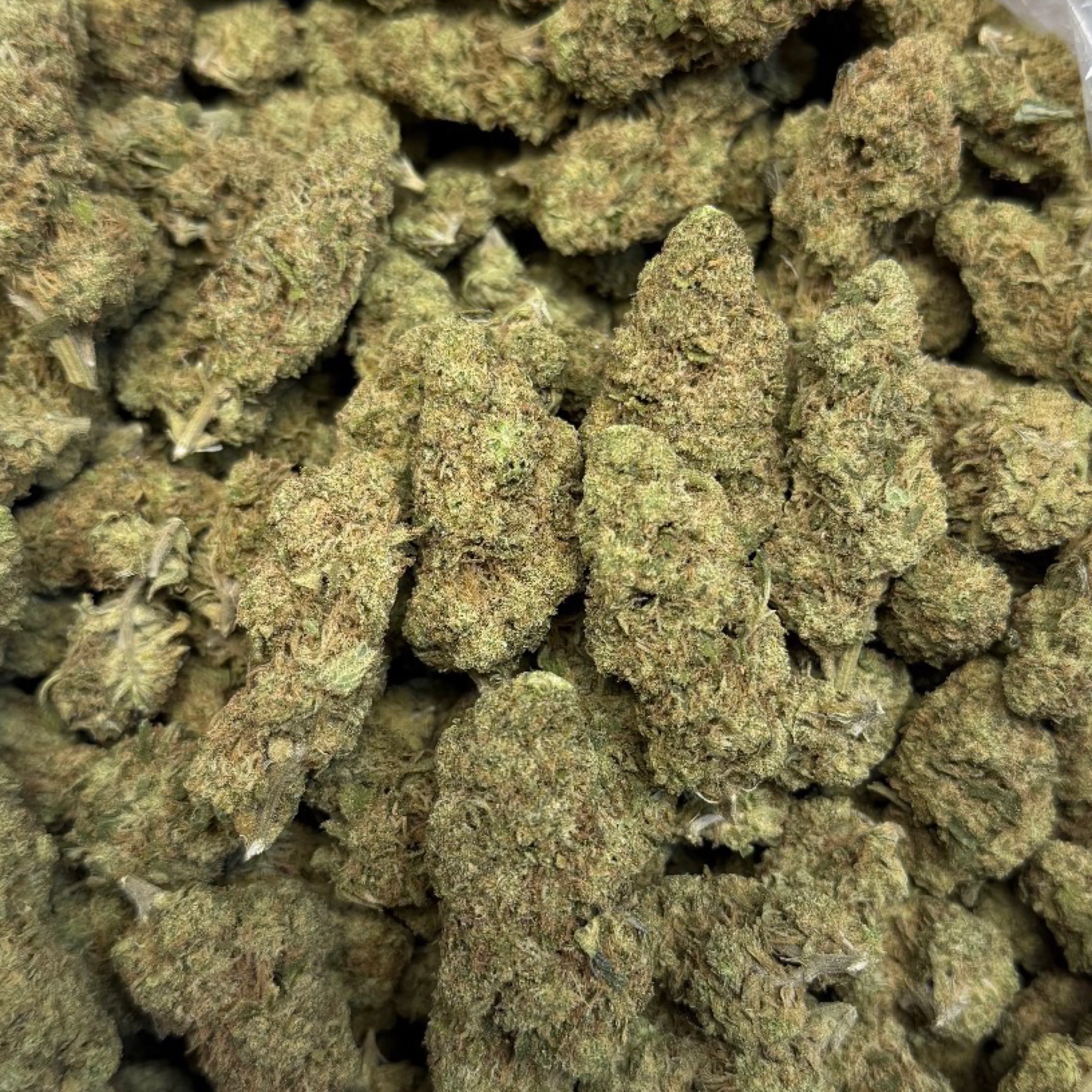 THCa Flower | Super Sour Diesel 14g - Image 2