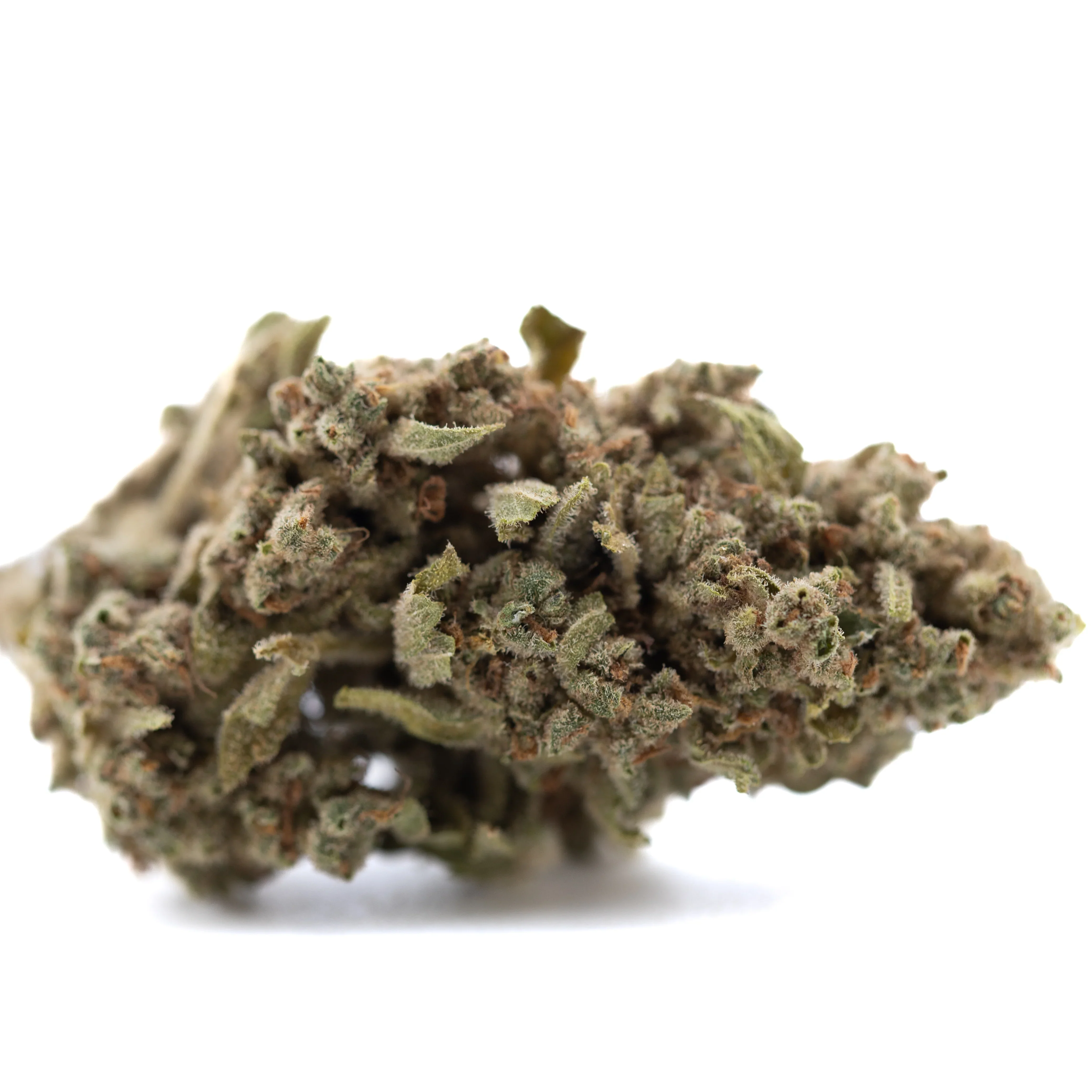 THCa Flower | Turtle Taffy 28g - Image 2