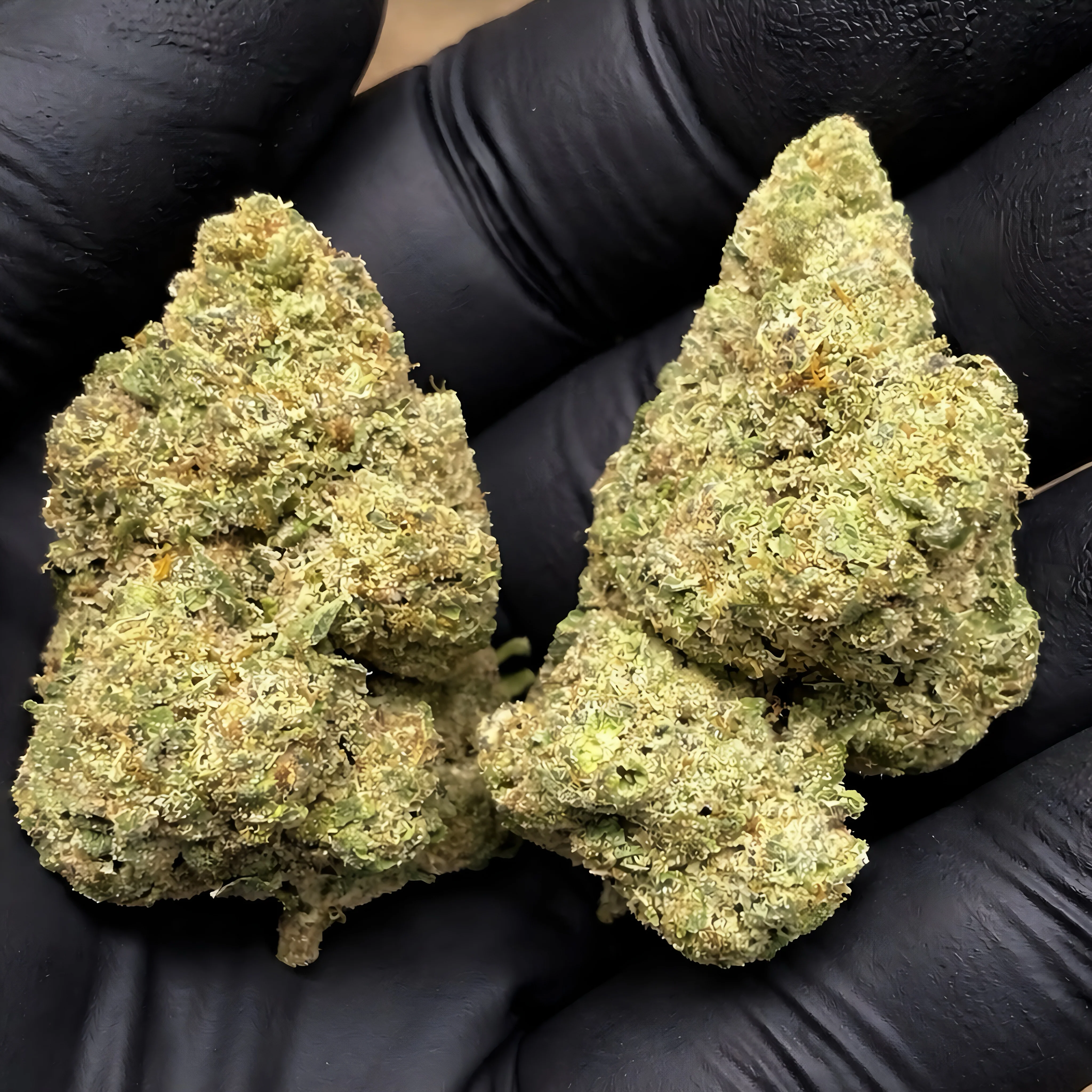 THCa Flower | Curelato 14g - Image 2