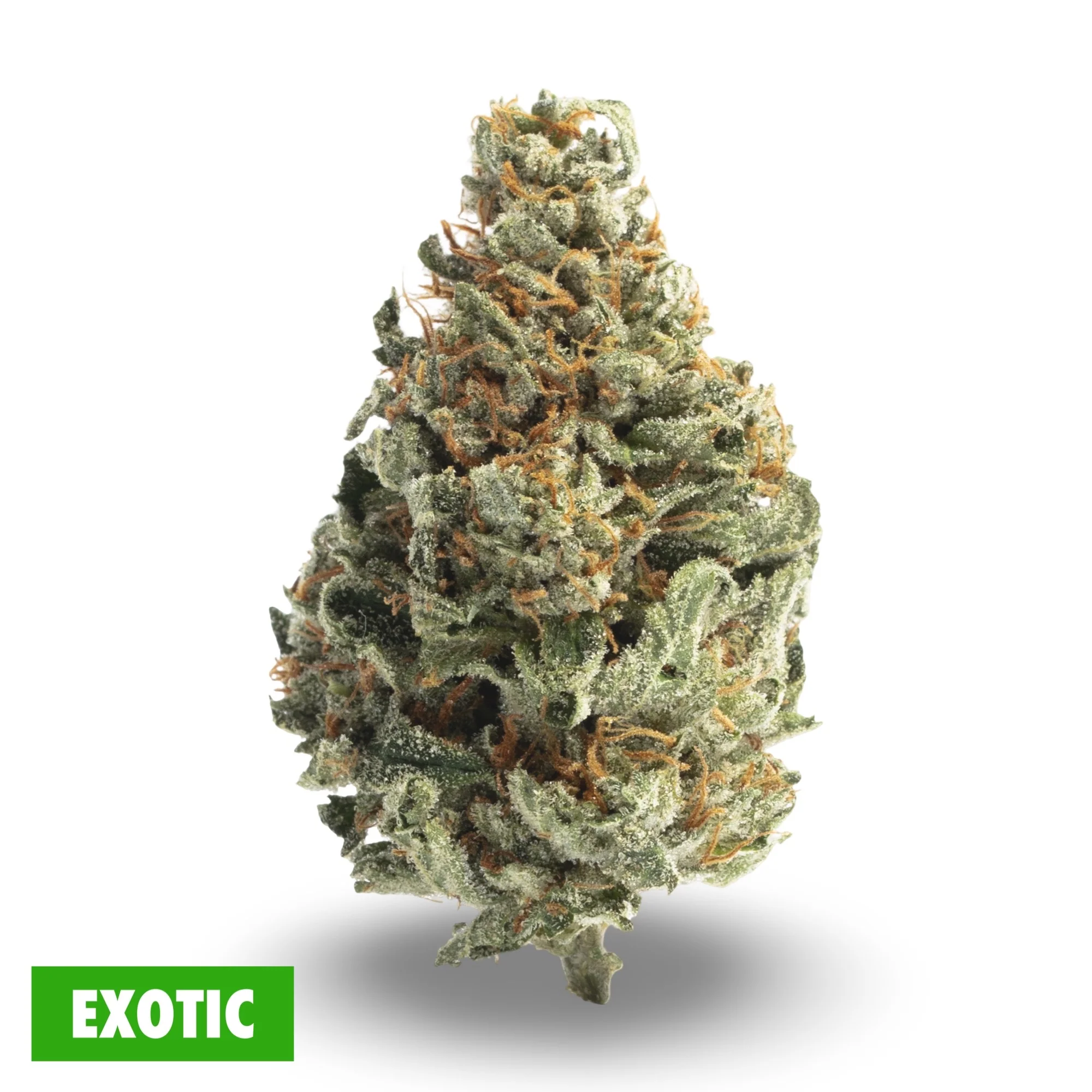 Vice City Exotic THCa Pre-Roll - Image 3