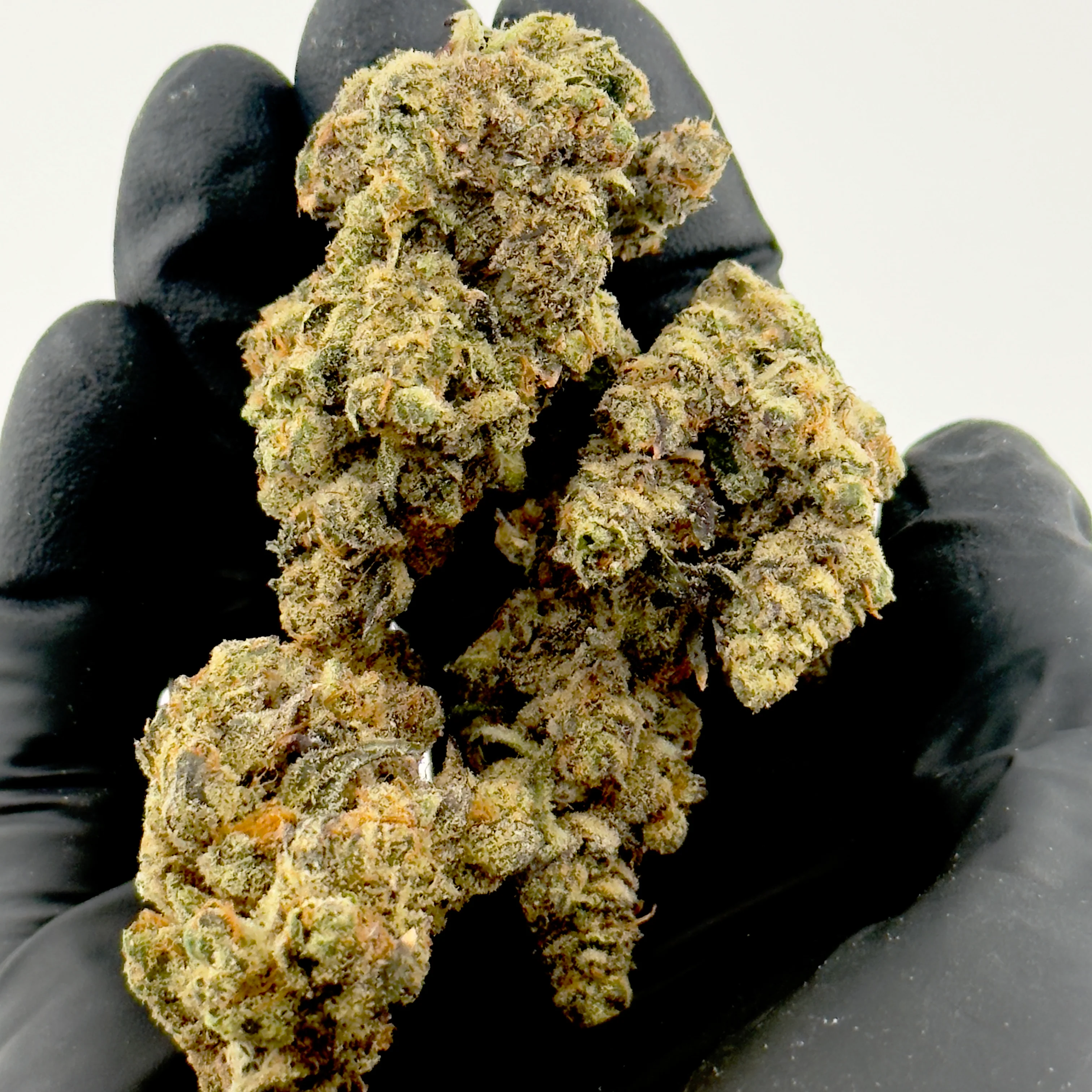 Vice City Exotic THCa Pre-Roll - Image 6