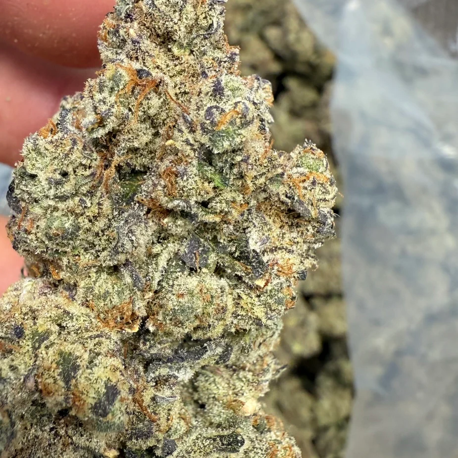 Vice City Exotic THCa Pre-Roll - Image 7